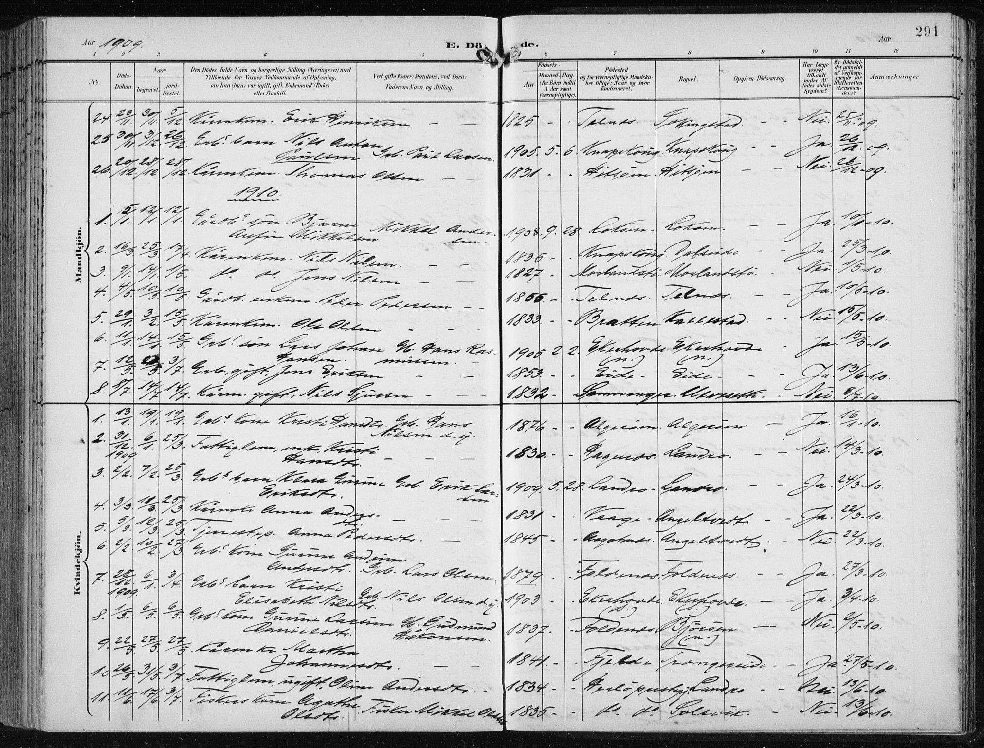 Fjell sokneprestembete, SAB/A-75301/H/Haa: Parish register (official) no. A  9, 1899-1910, p. 291