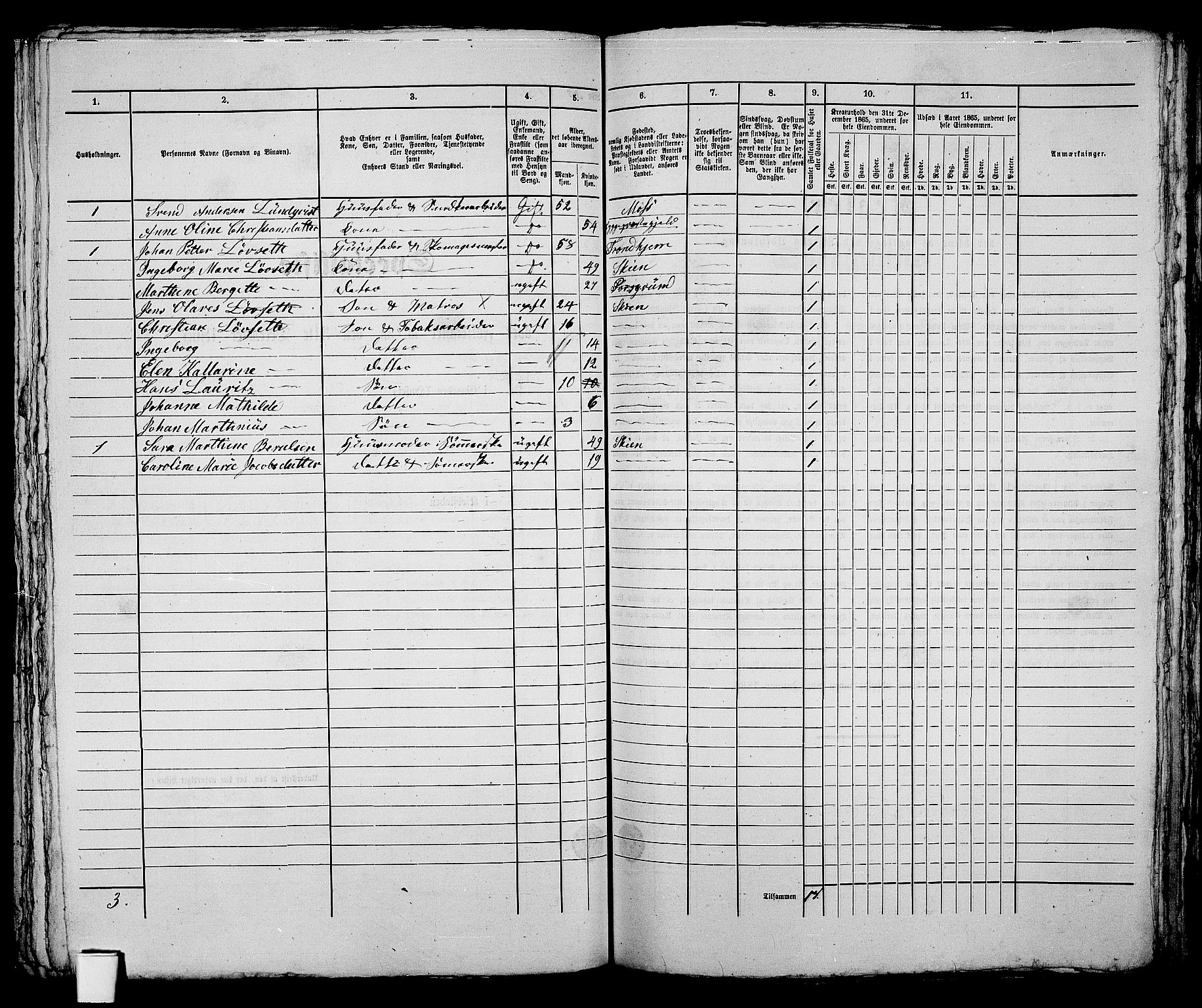 RA, 1865 census for Skien, 1865, p. 238