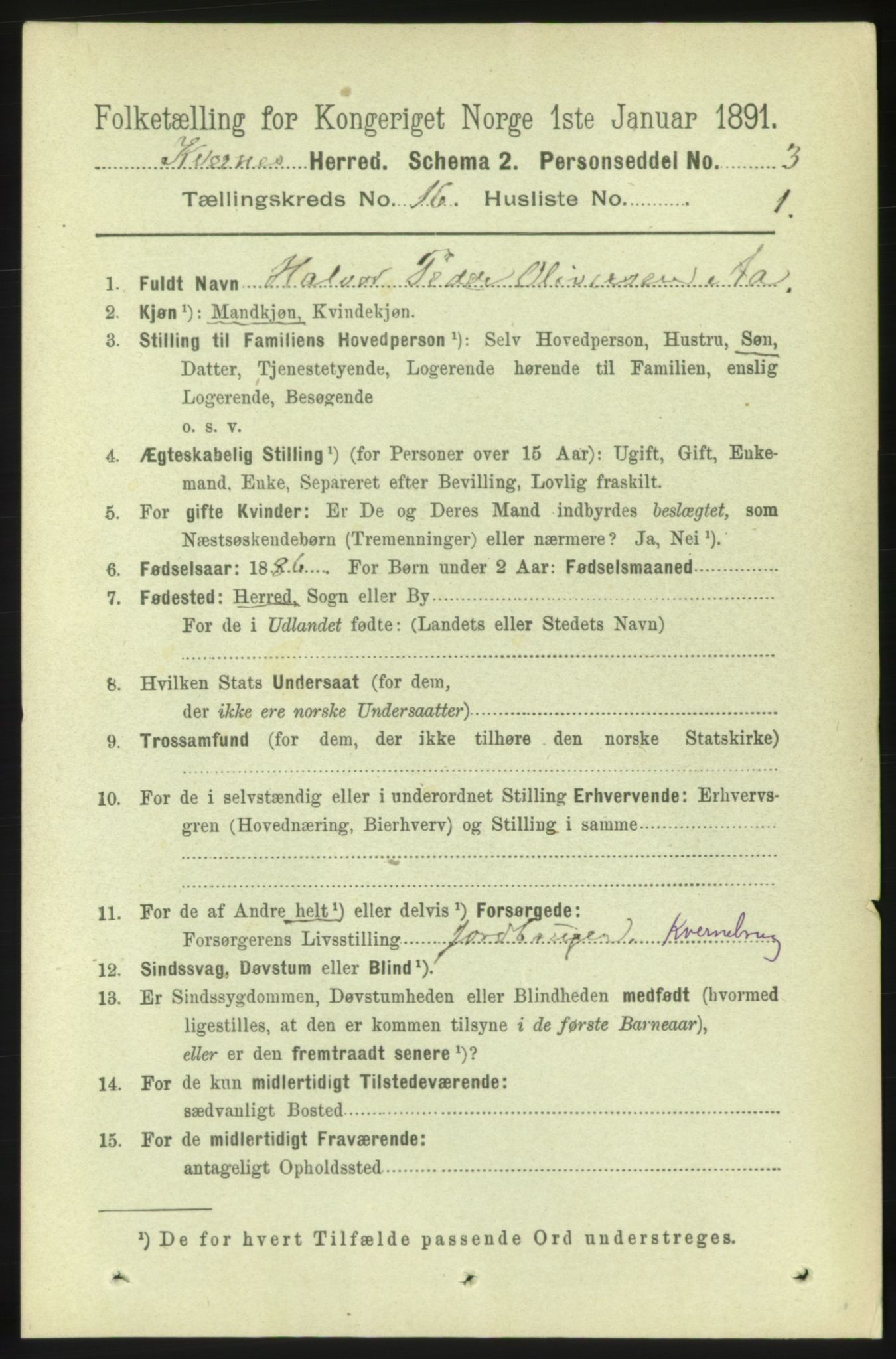 RA, 1891 census for 1553 Kvernes, 1891, p. 6448