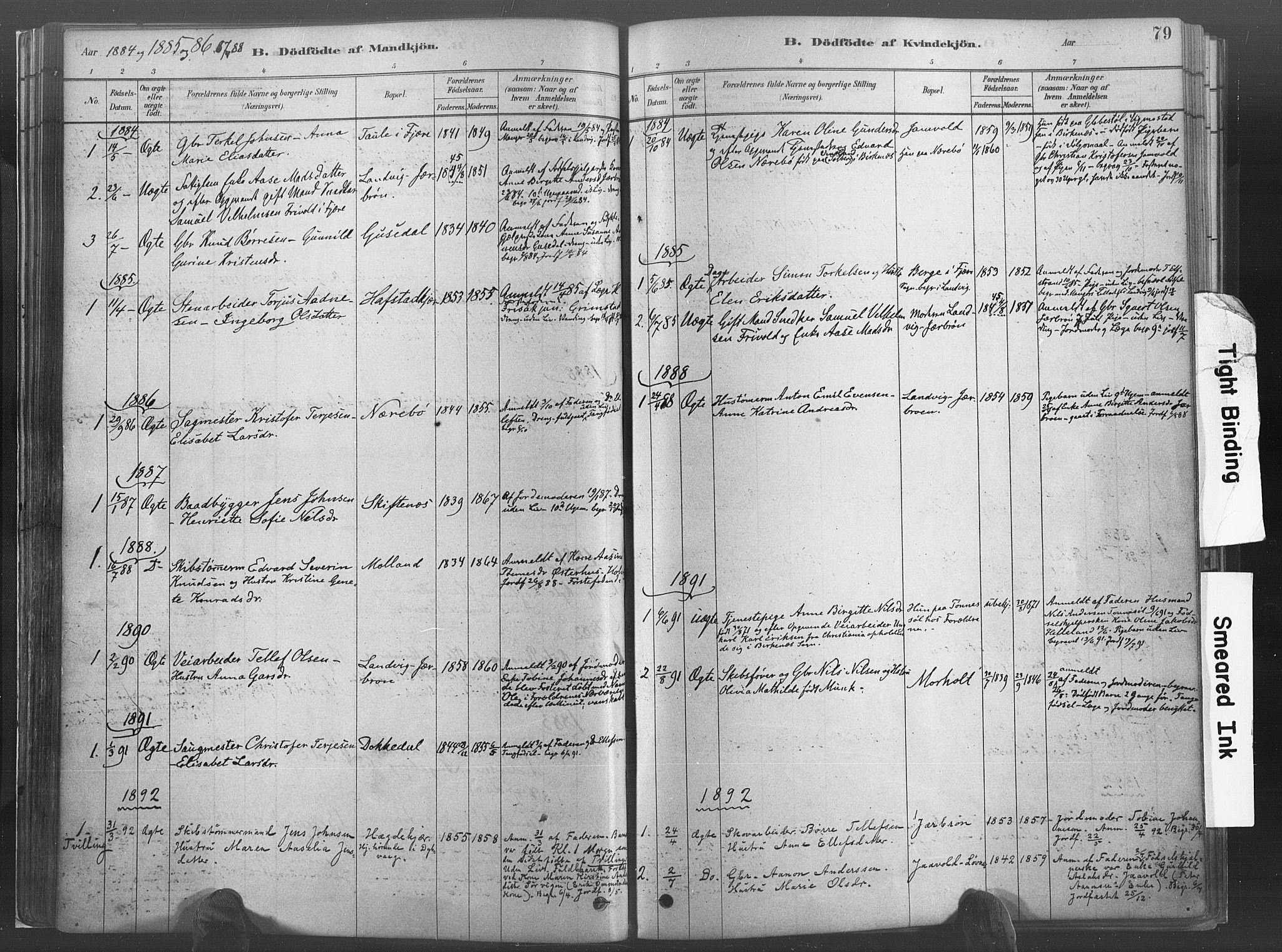 Hommedal sokneprestkontor, AV/SAK-1111-0023/F/Fa/Fab/L0006: Parish register (official) no. A 6, 1878-1897, p. 79