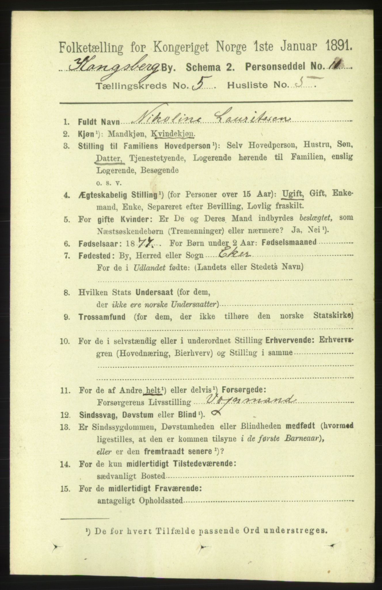 RA, 1891 census for 0604 Kongsberg, 1891, p. 4195