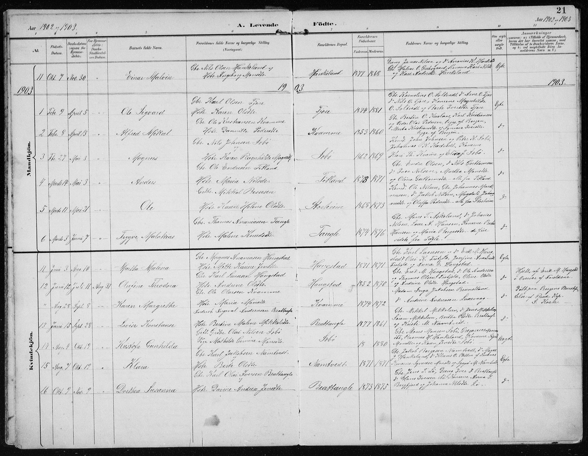 Manger sokneprestembete, AV/SAB-A-76801/H/Hab: Parish register (copy) no. D 3, 1895-1910, p. 21