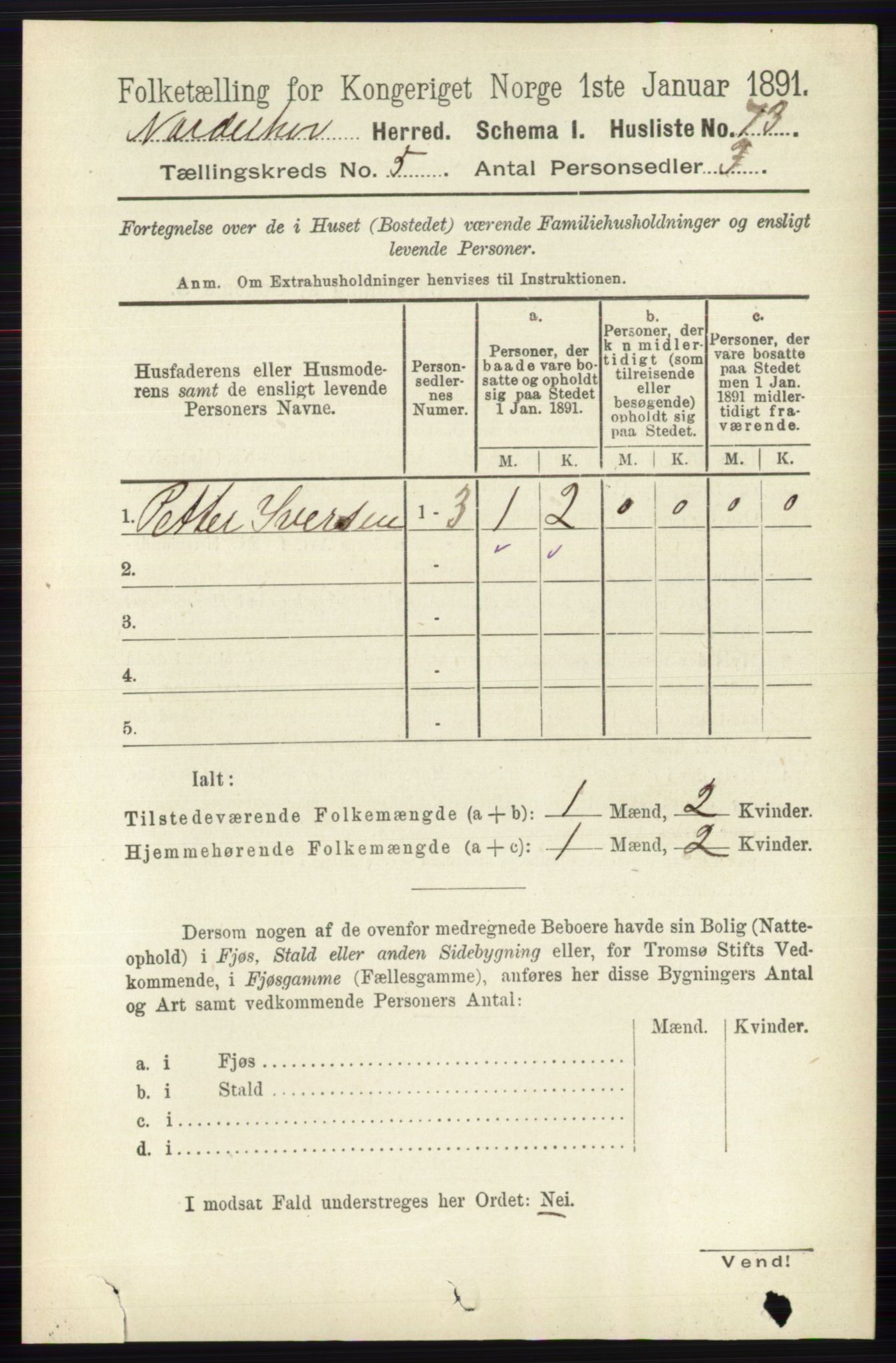 RA, 1891 census for 0613 Norderhov, 1891, p. 3513