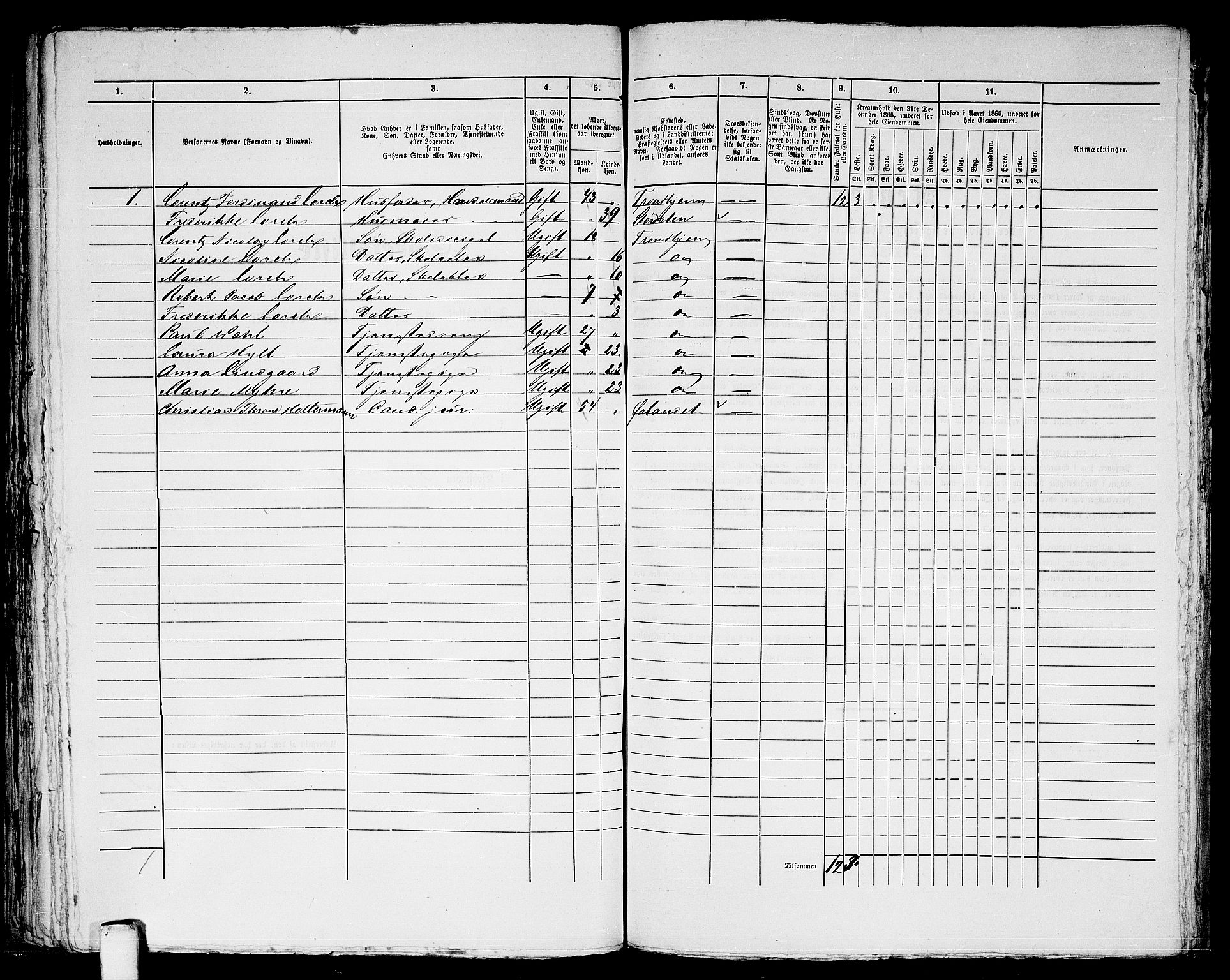 RA, 1865 census for Trondheim, 1865, p. 828