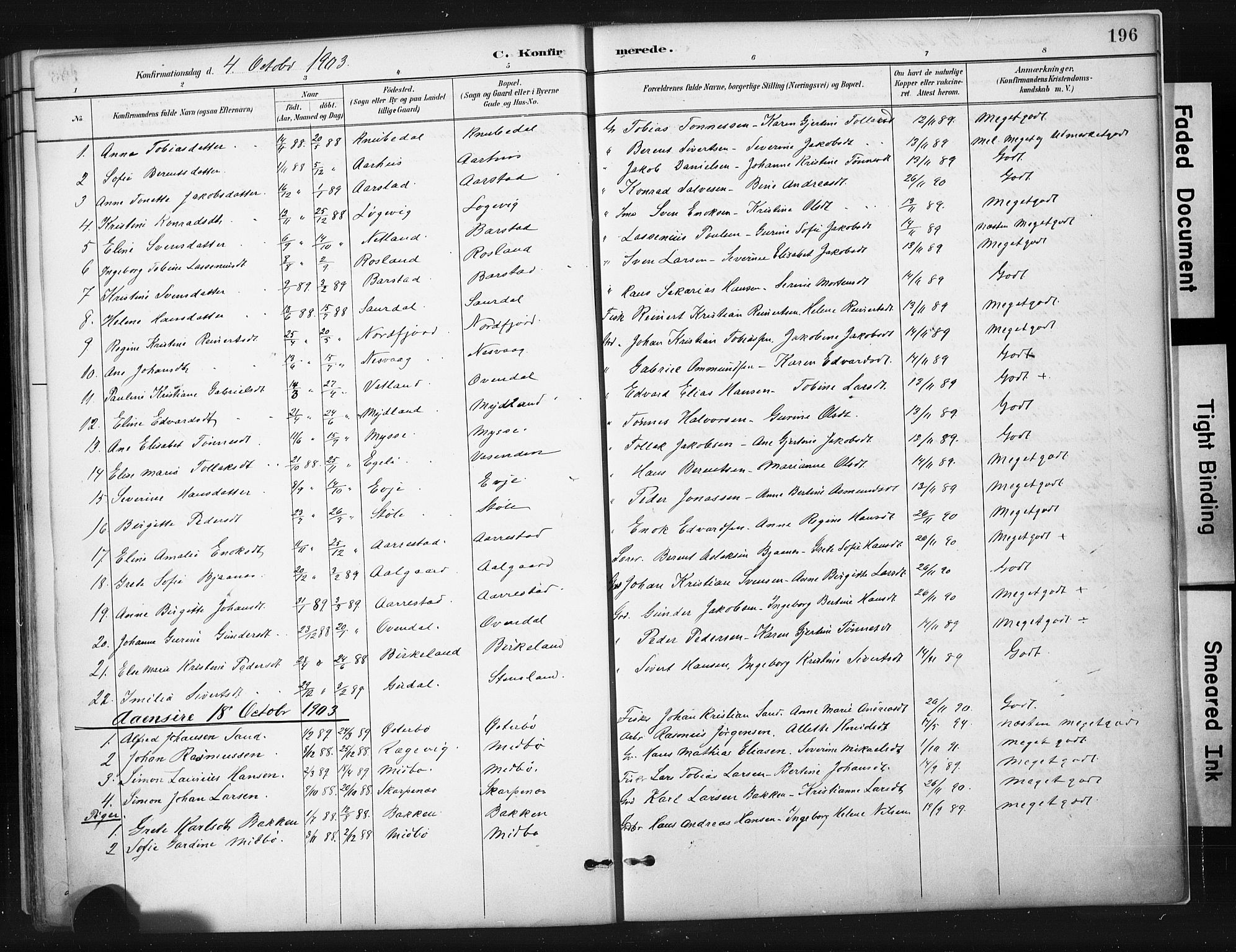 Sokndal sokneprestkontor, AV/SAST-A-101808: Parish register (official) no. A 11.1, 1887-1905, p. 196