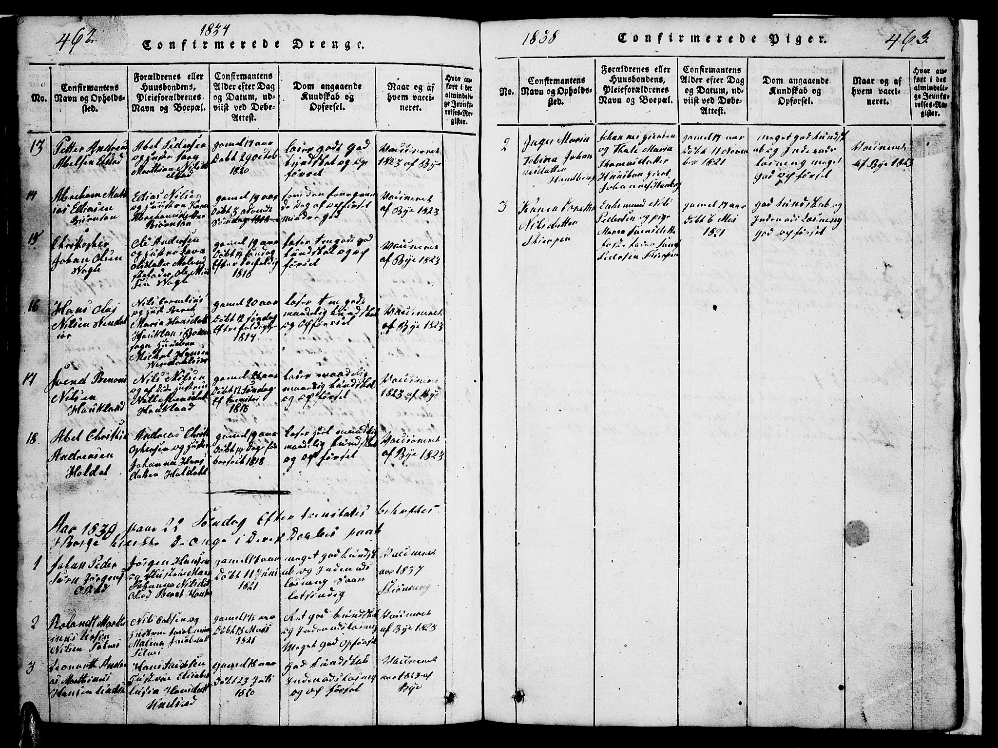 Ministerialprotokoller, klokkerbøker og fødselsregistre - Nordland, SAT/A-1459/880/L1139: Parish register (copy) no. 880C01, 1836-1857, p. 462-463