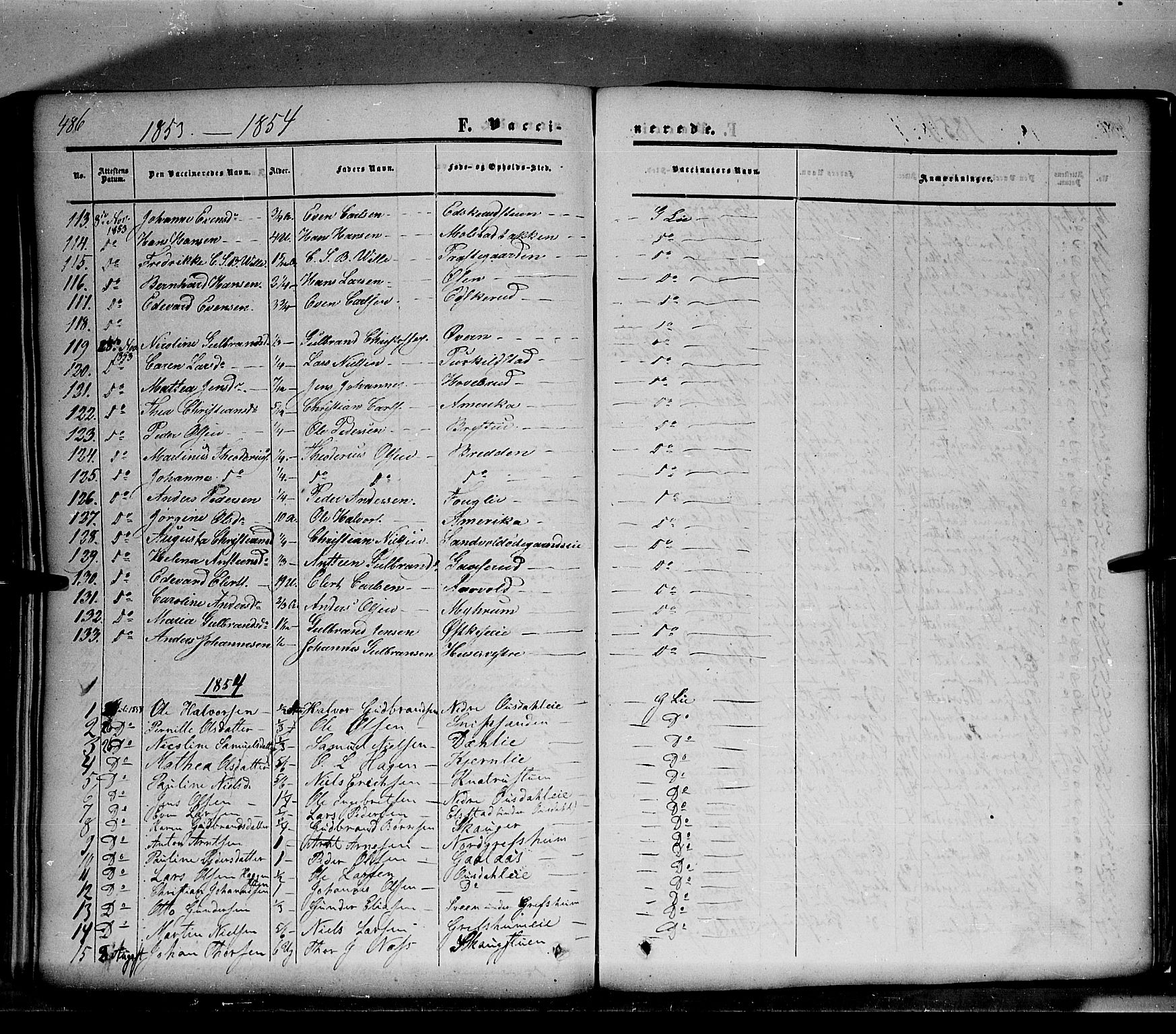 Nes prestekontor, Hedmark, SAH/PREST-020/K/Ka/L0004: Parish register (official) no. 4, 1852-1886, p. 486