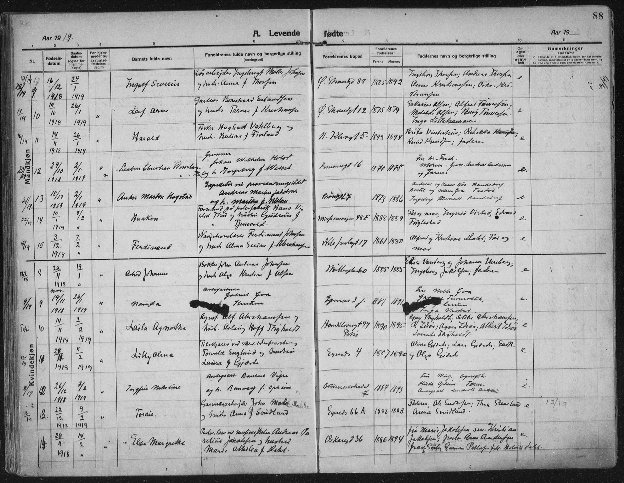 Domkirken sokneprestkontor, SAST/A-101812/002/A/L0018: Parish register (official) no. A 34, 1915-1929, p. 88