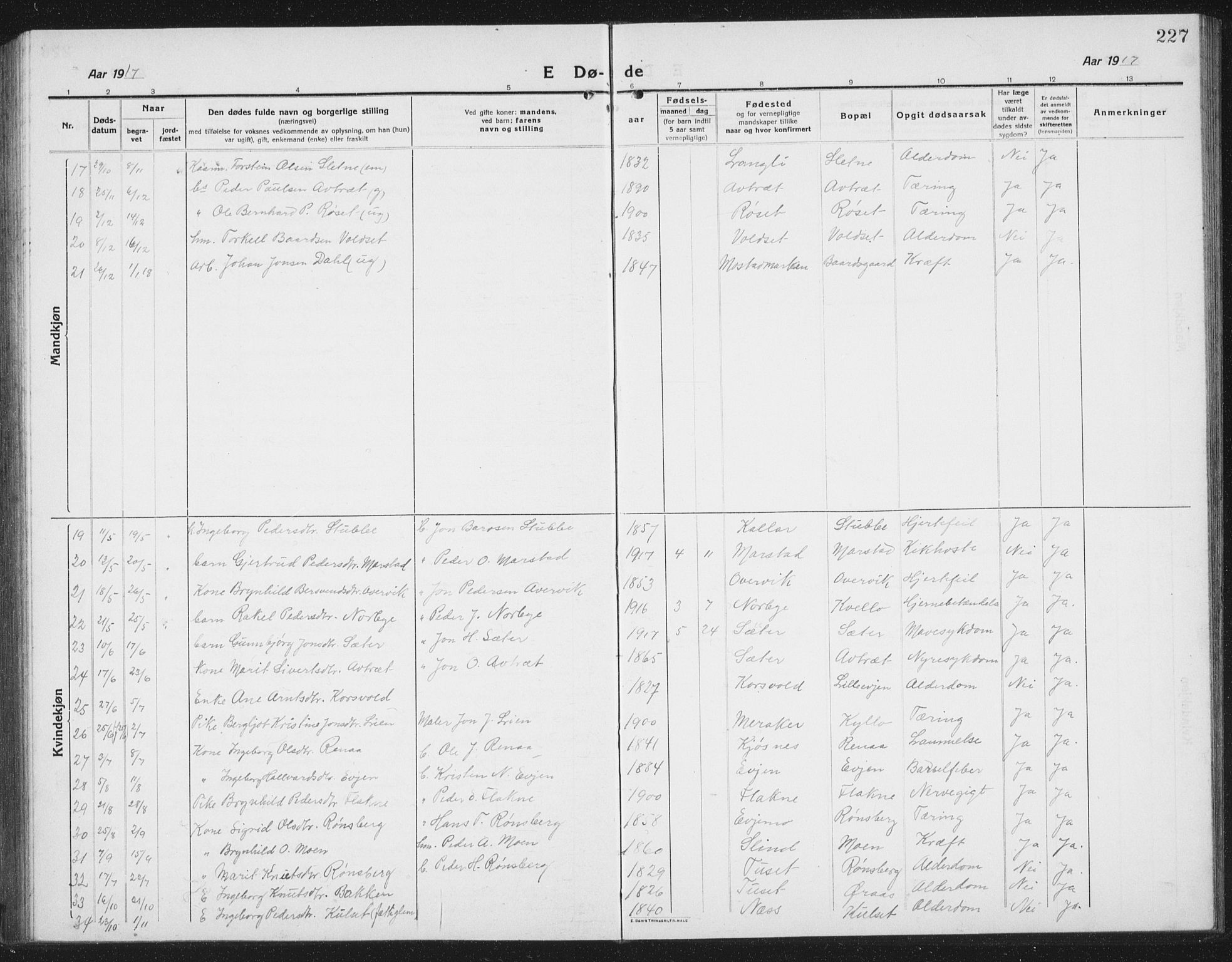 Ministerialprotokoller, klokkerbøker og fødselsregistre - Sør-Trøndelag, SAT/A-1456/695/L1158: Parish register (copy) no. 695C09, 1913-1940, p. 227