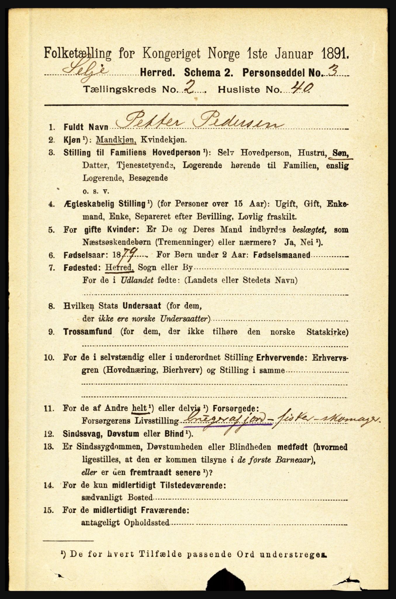 RA, 1891 census for 1441 Selje, 1891, p. 582