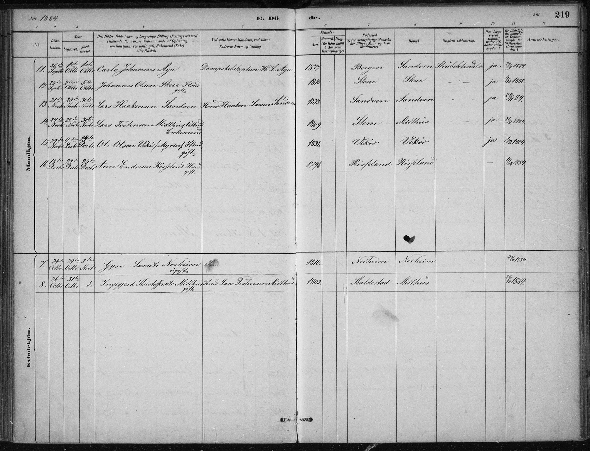 Kvam sokneprestembete, AV/SAB-A-76201/H/Haa: Parish register (official) no. B  1, 1880-1908, p. 219