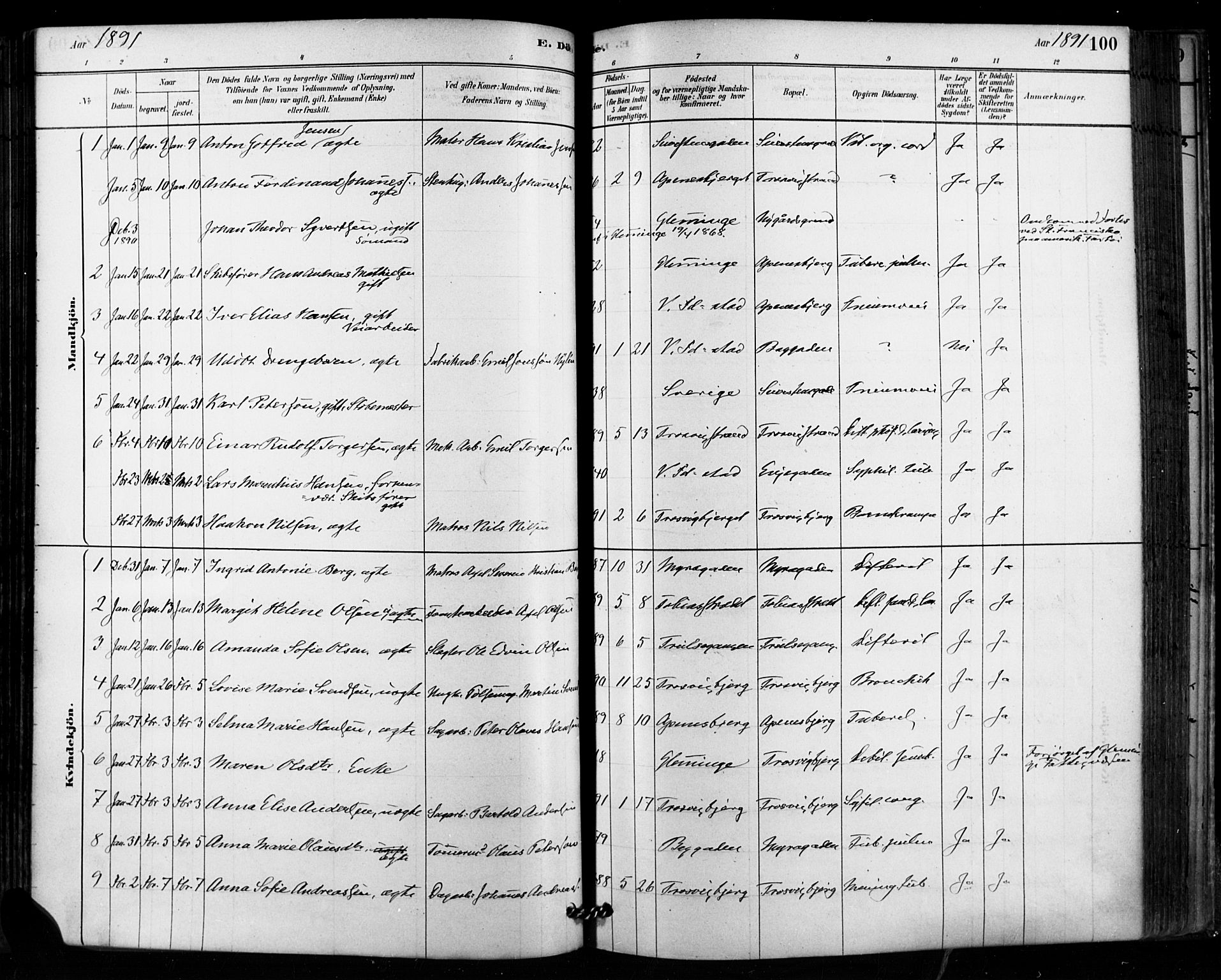 Fredrikstad domkirkes prestekontor Kirkebøker, SAO/A-10906/F/Fa/L0003: Parish register (official) no. 3, 1878-1904, p. 100
