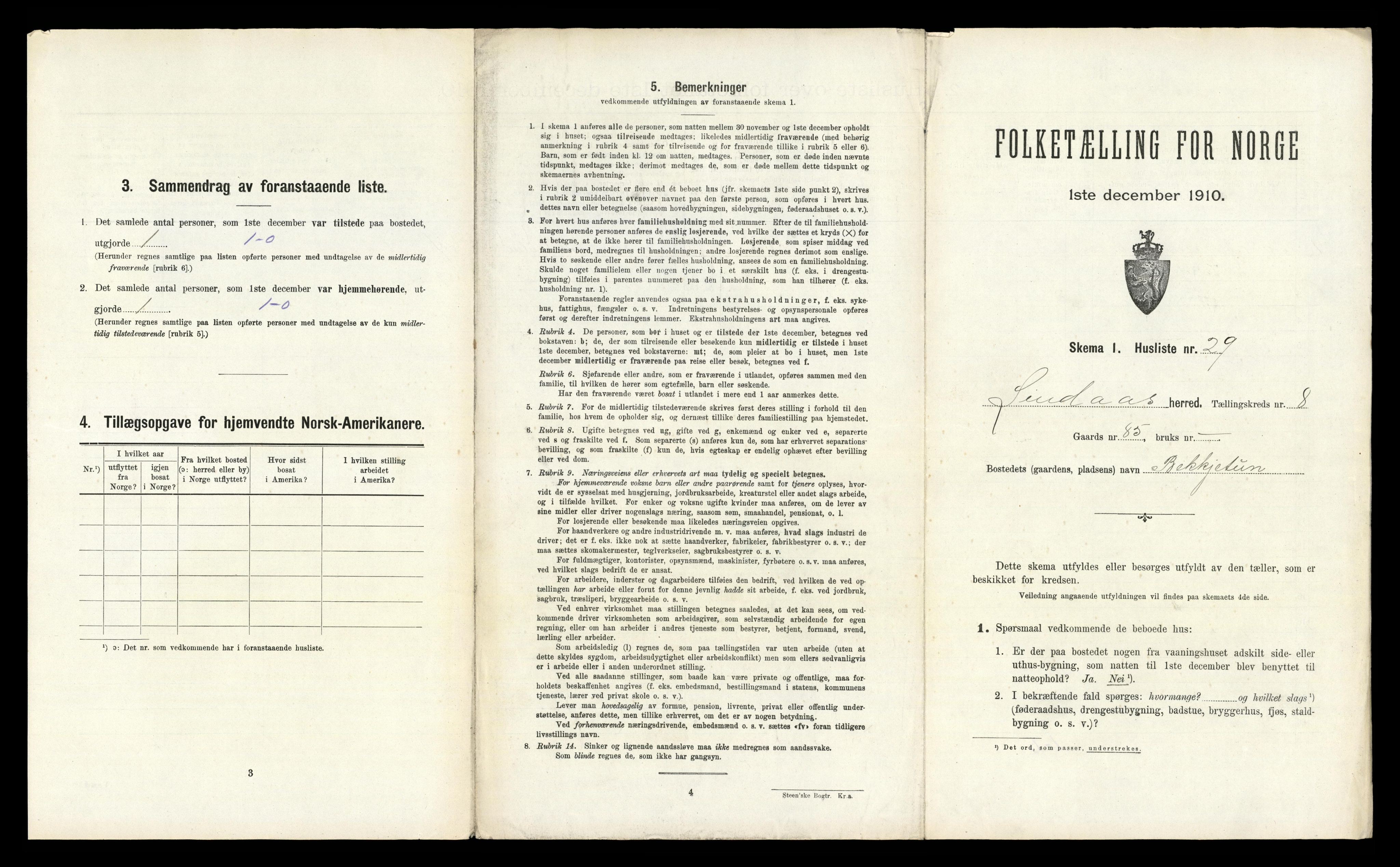 RA, 1910 census for Lindås, 1910, p. 594