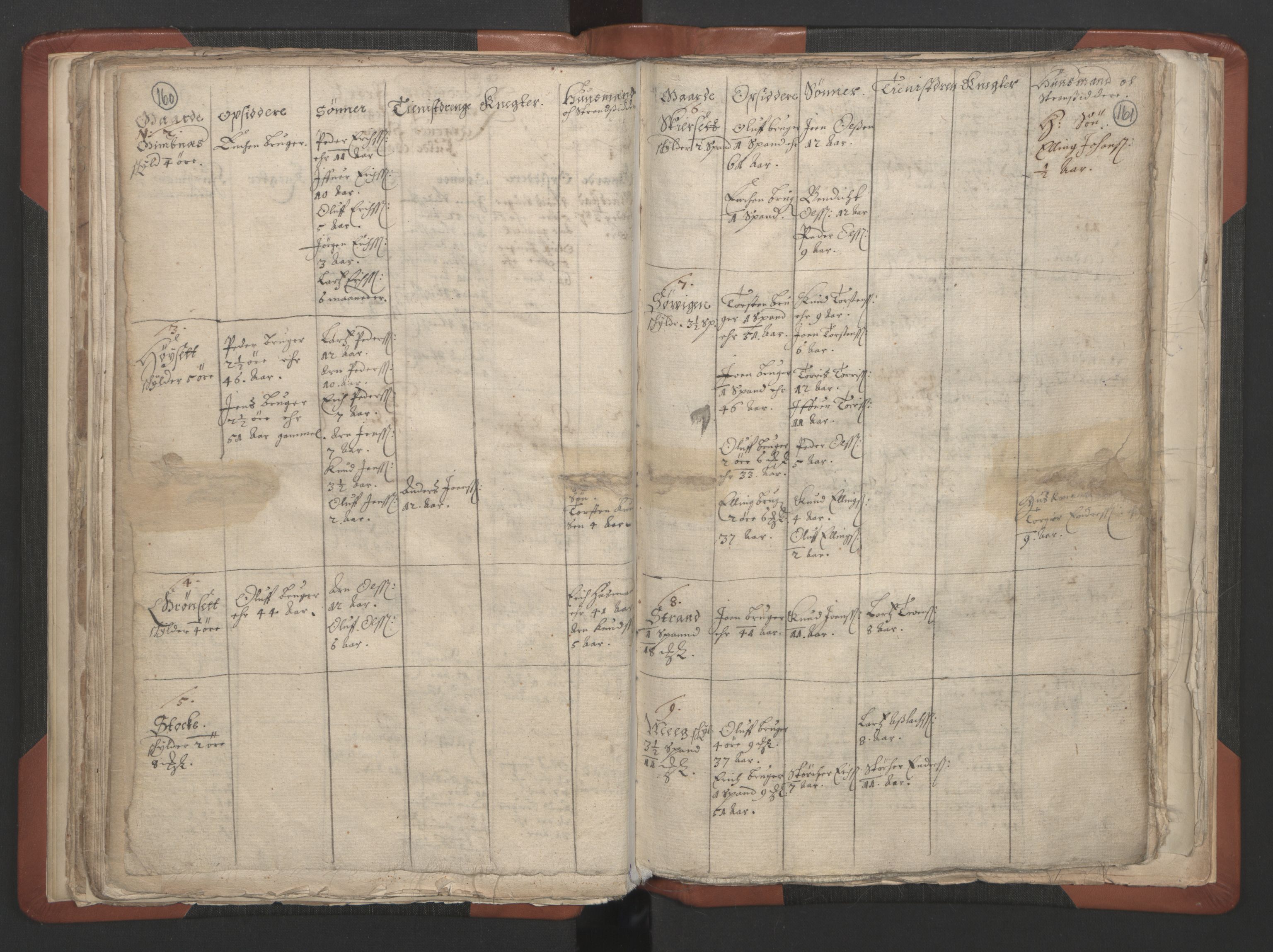 RA, Vicar's Census 1664-1666, no. 28: Nordmøre deanery, 1664-1666, p. 160-161