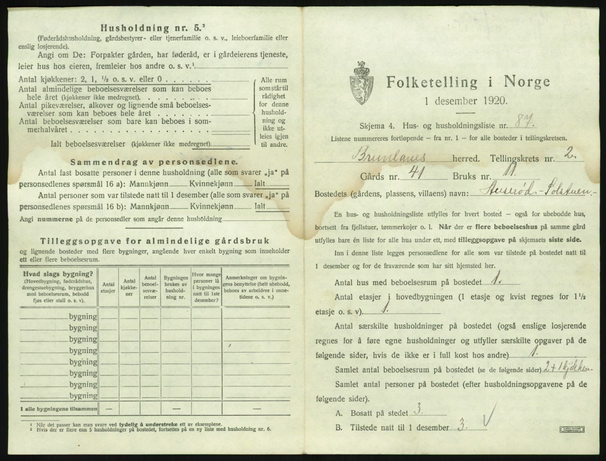 SAKO, 1920 census for Brunlanes, 1920, p. 485