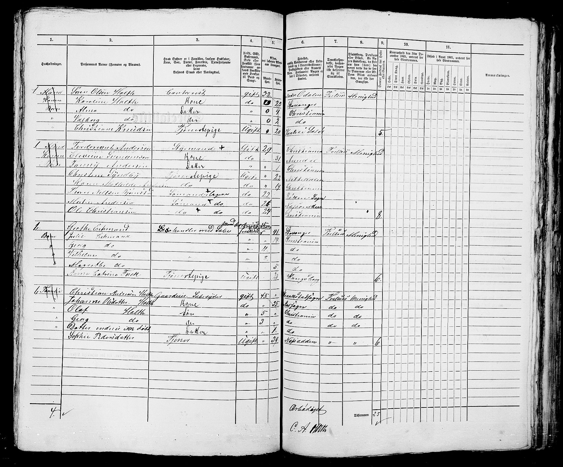 RA, 1865 census for Kristiania, 1865, p. 993