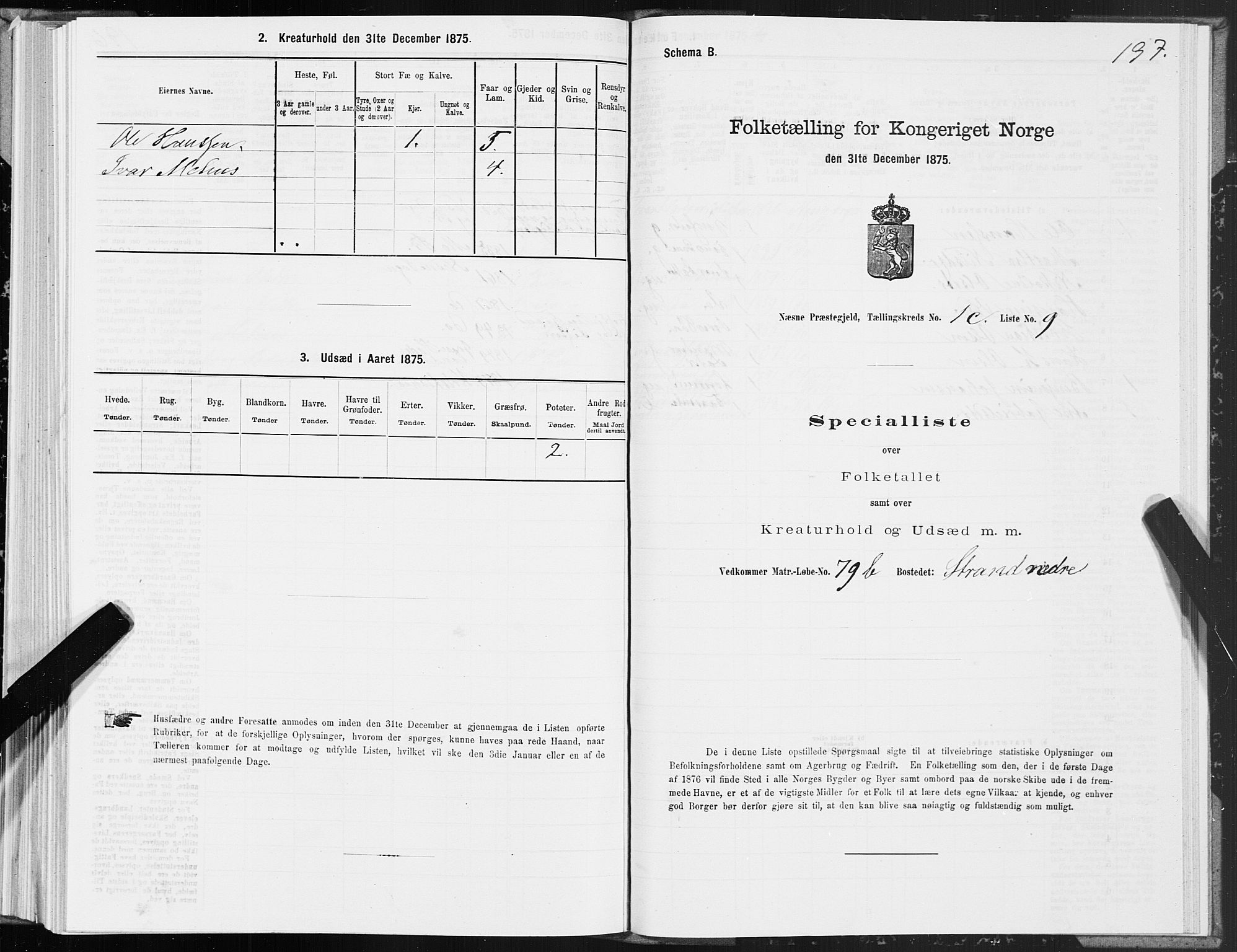 SAT, 1875 census for 1828P Nesna, 1875, p. 1197