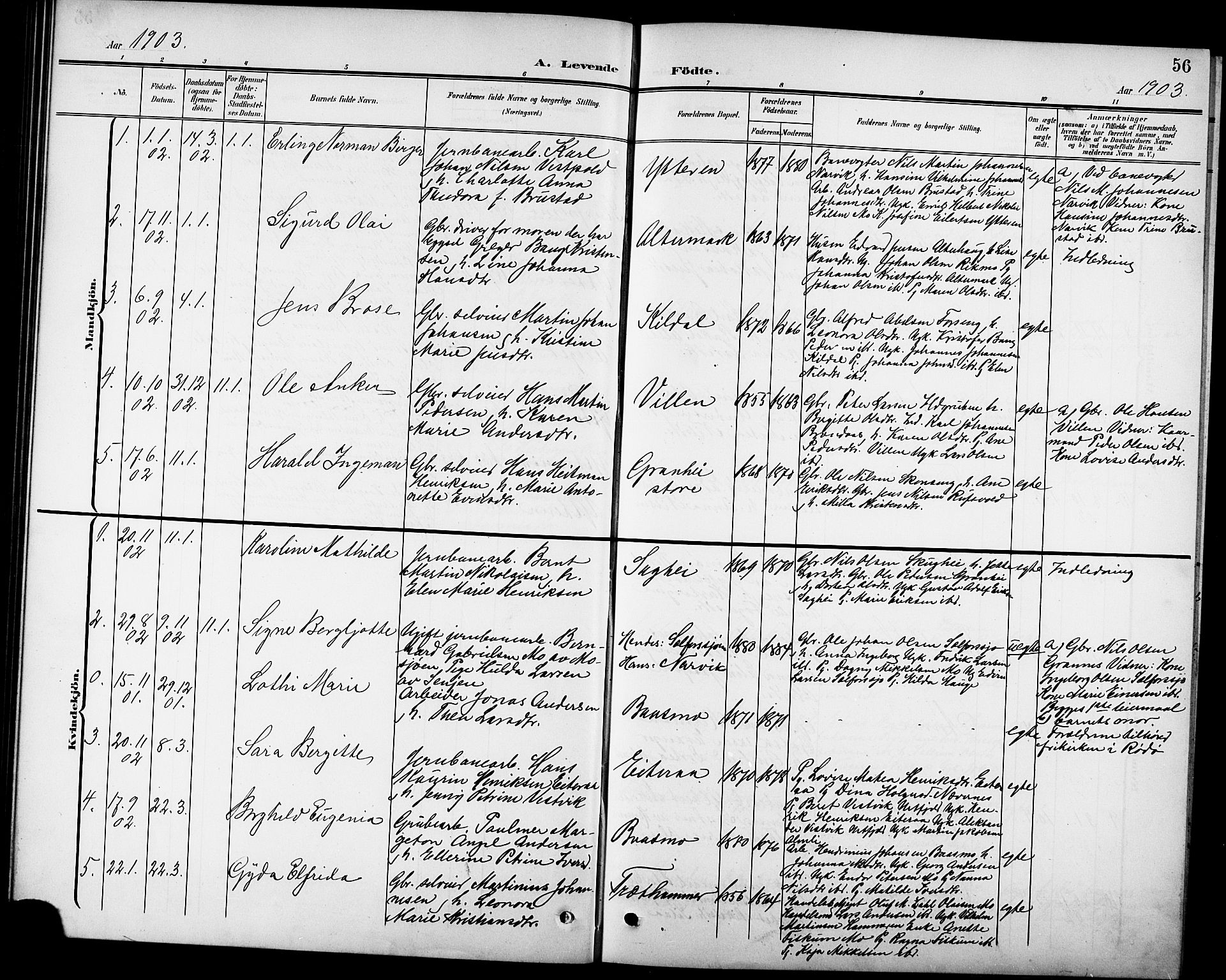 Ministerialprotokoller, klokkerbøker og fødselsregistre - Nordland, SAT/A-1459/827/L0422: Parish register (copy) no. 827C11, 1899-1912, p. 56