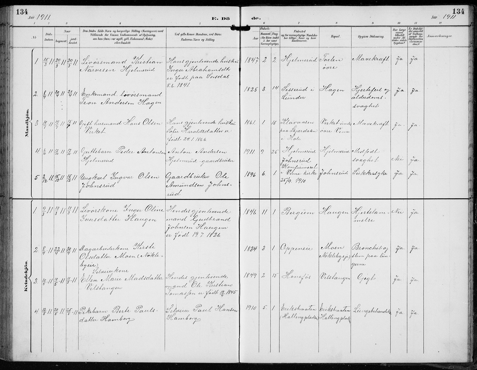 Lunder kirkebøker, AV/SAKO-A-629/F/Fb/L0001: Parish register (official) no. II 1, 1893-1916, p. 134