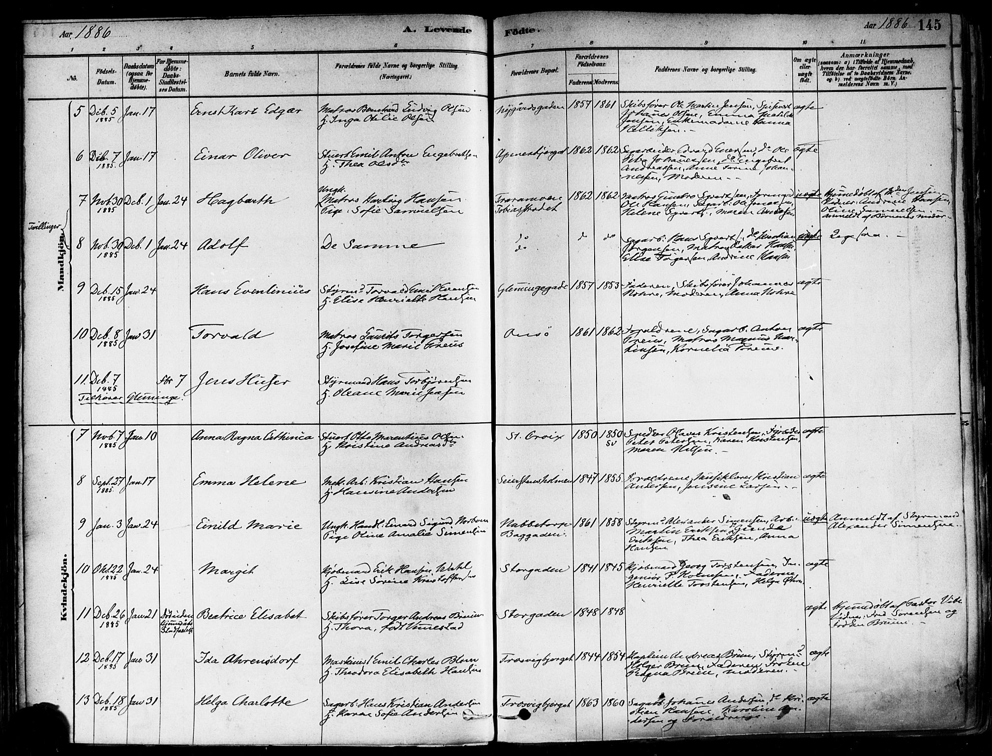Fredrikstad domkirkes prestekontor Kirkebøker, SAO/A-10906/F/Fa/L0002: Parish register (official) no. 2, 1878-1894, p. 145