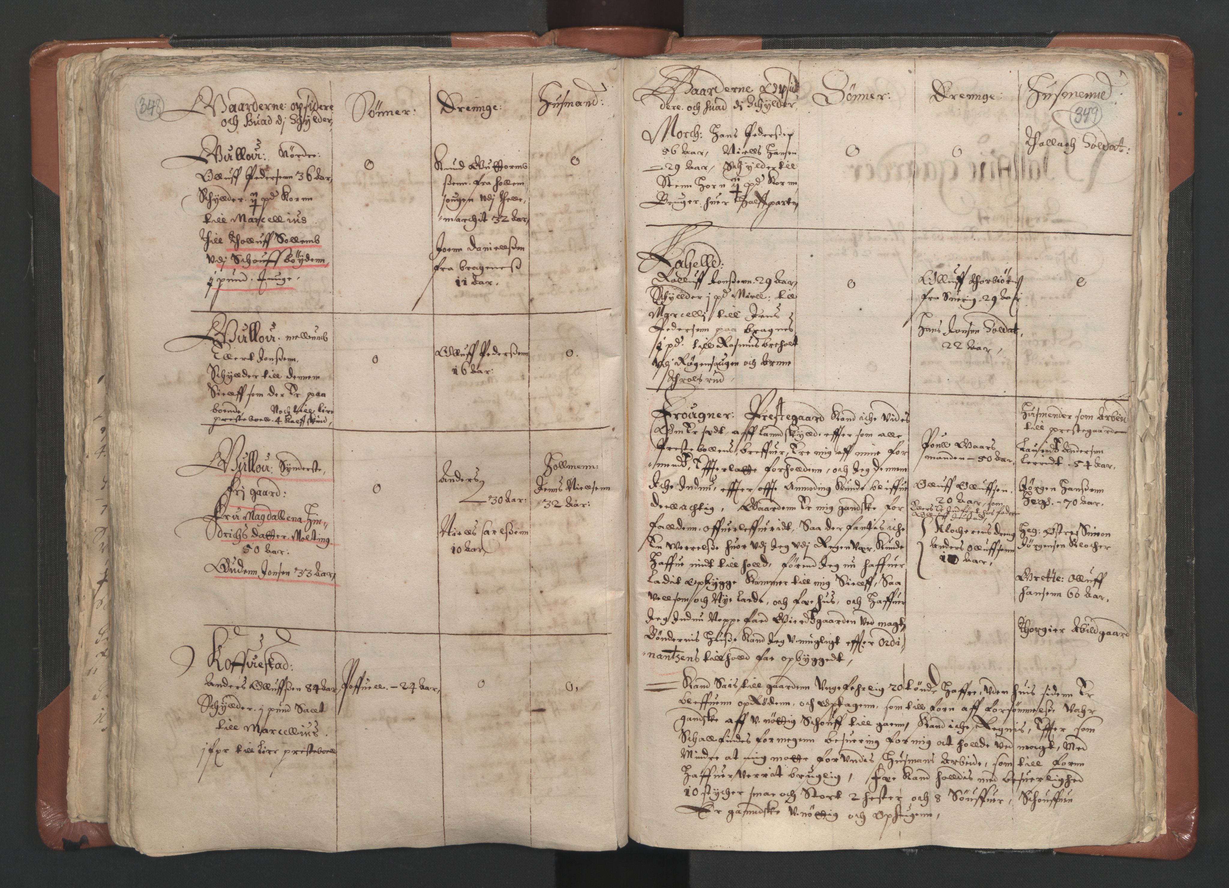 RA, Vicar's Census 1664-1666, no. 9: Bragernes deanery, 1664-1666, p. 348-349