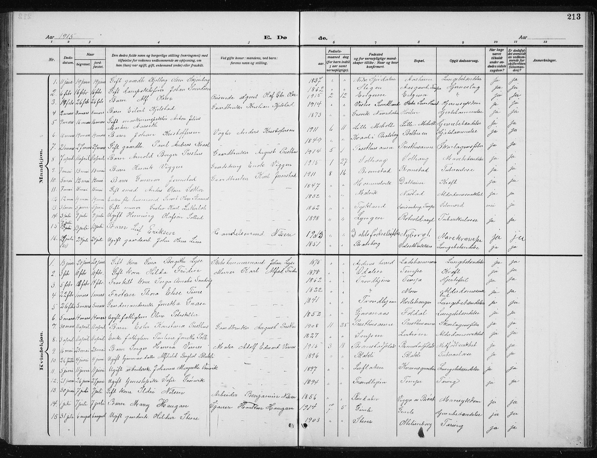 Ministerialprotokoller, klokkerbøker og fødselsregistre - Sør-Trøndelag, SAT/A-1456/606/L0314: Parish register (copy) no. 606C10, 1911-1937, p. 213