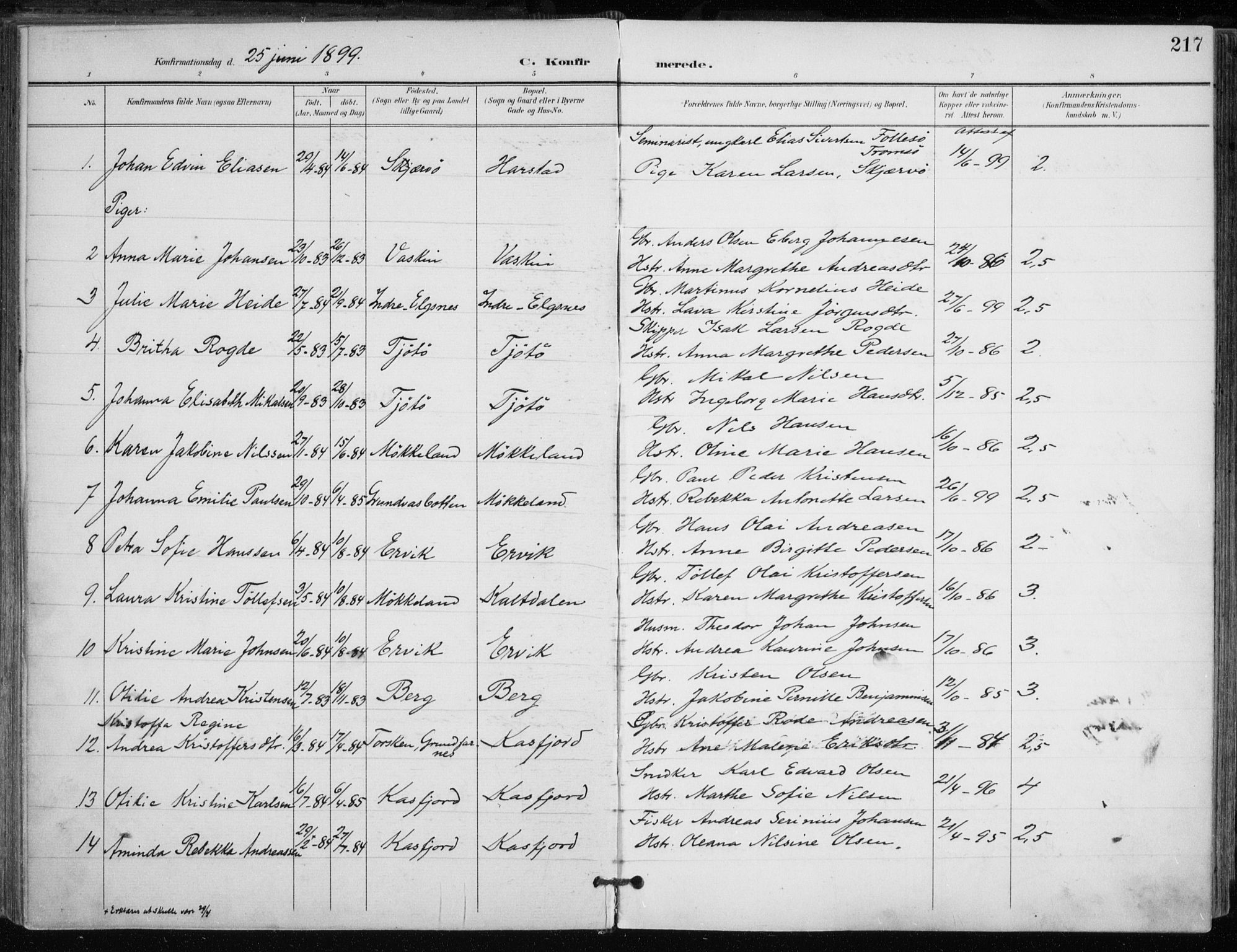 Trondenes sokneprestkontor, SATØ/S-1319/H/Ha/L0017kirke: Parish register (official) no. 17, 1899-1908, p. 217