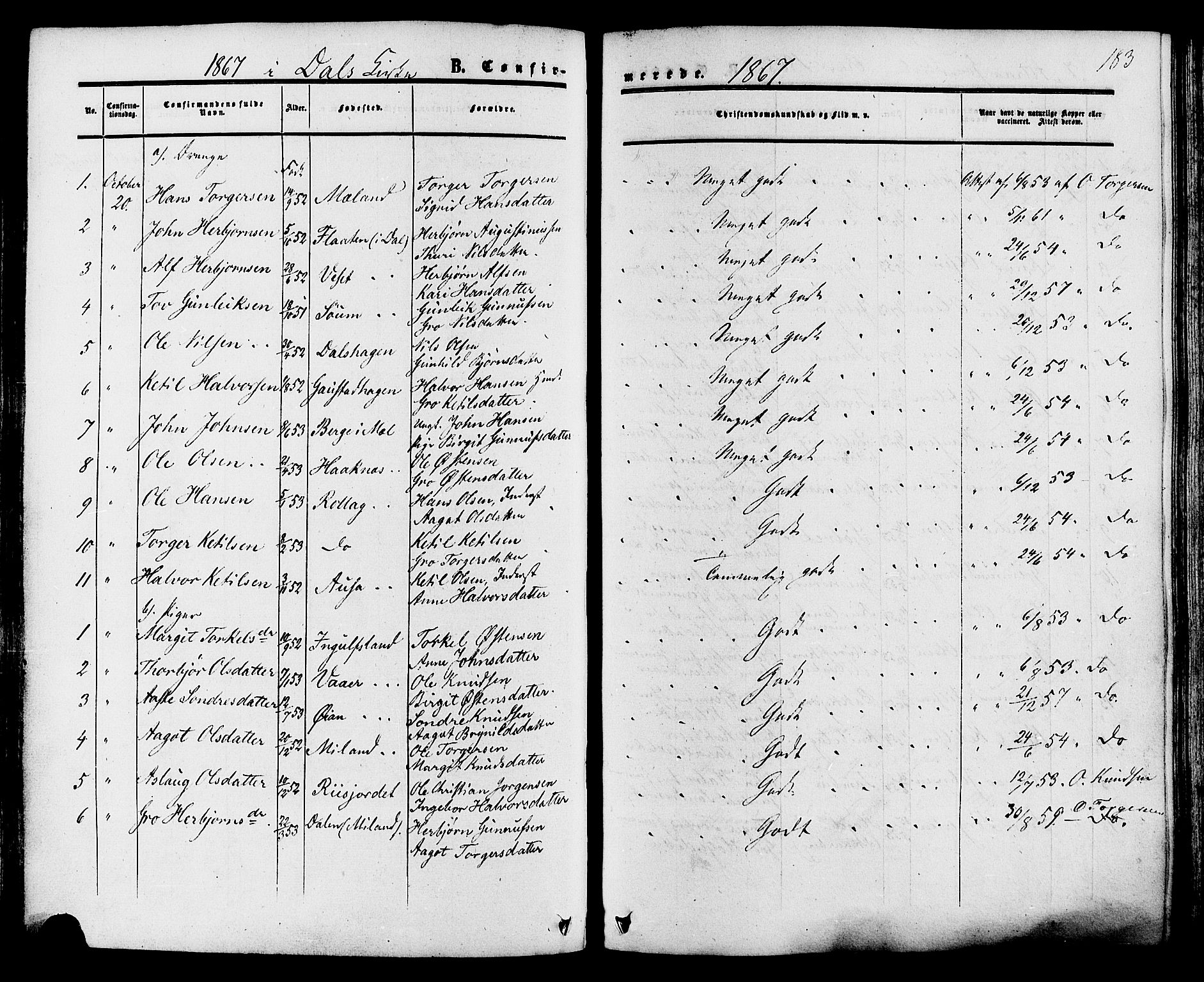 Tinn kirkebøker, SAKO/A-308/F/Fa/L0006: Parish register (official) no. I 6, 1857-1878, p. 183