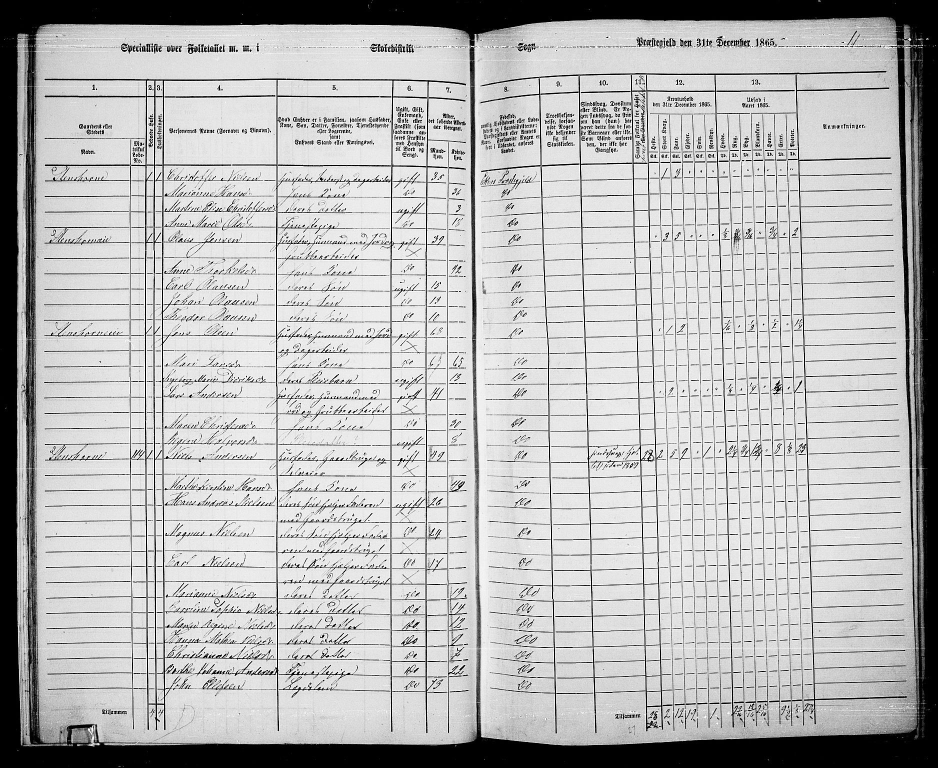 RA, 1865 census for Eiker, 1865, p. 24