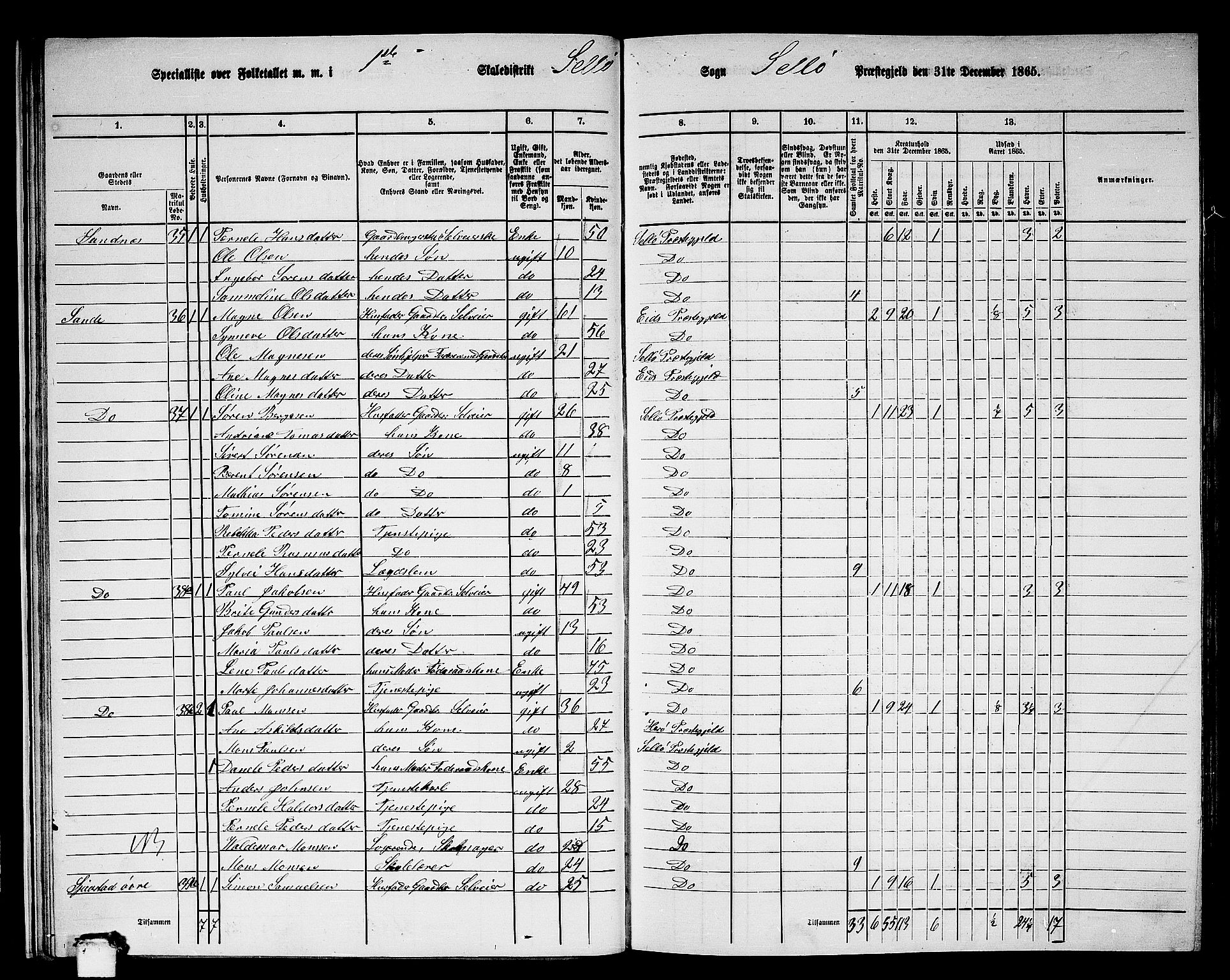 RA, 1865 census for Selje, 1865, p. 29