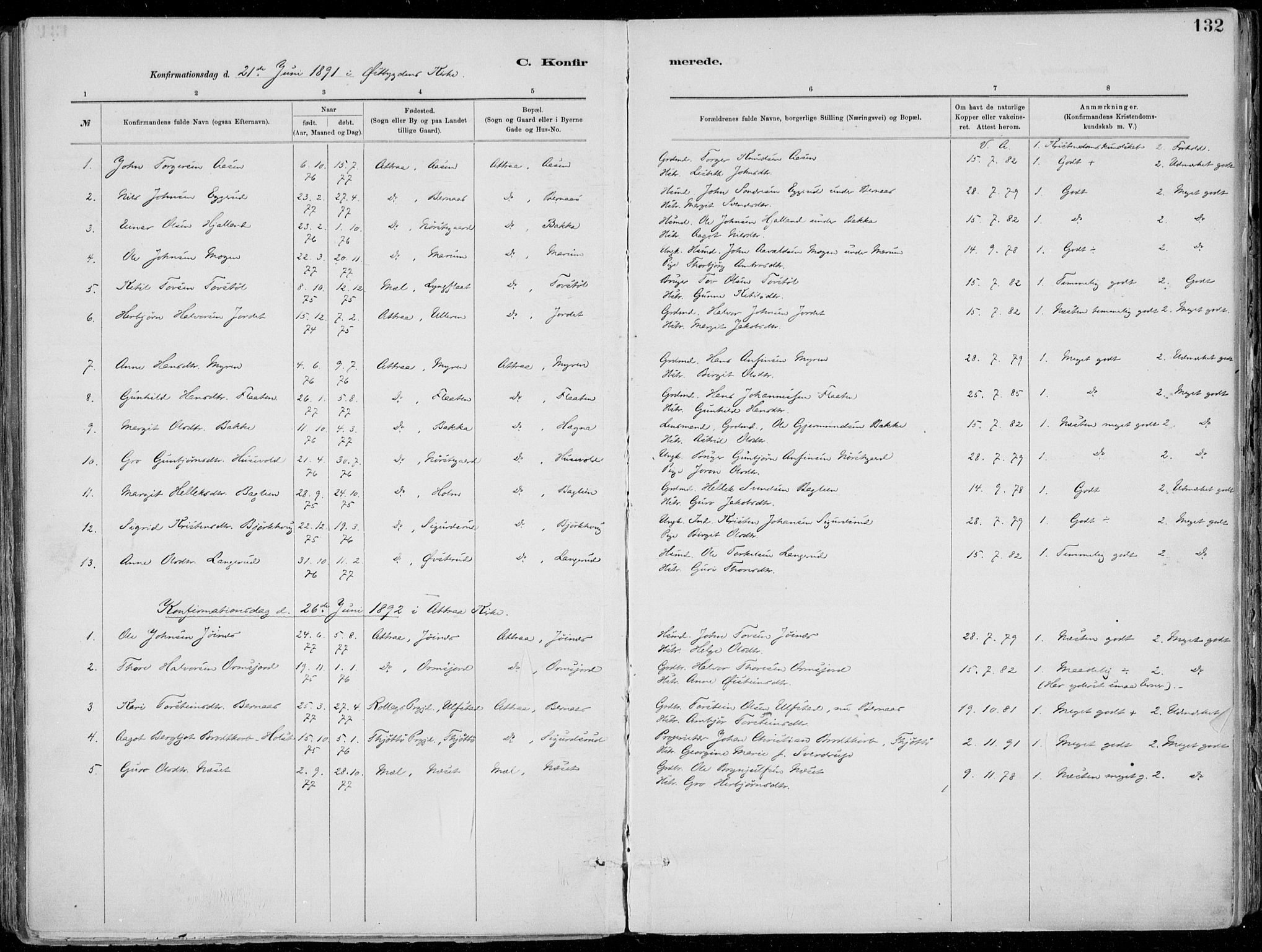 Tinn kirkebøker, AV/SAKO-A-308/F/Fa/L0007: Parish register (official) no. I 7, 1878-1922, p. 132