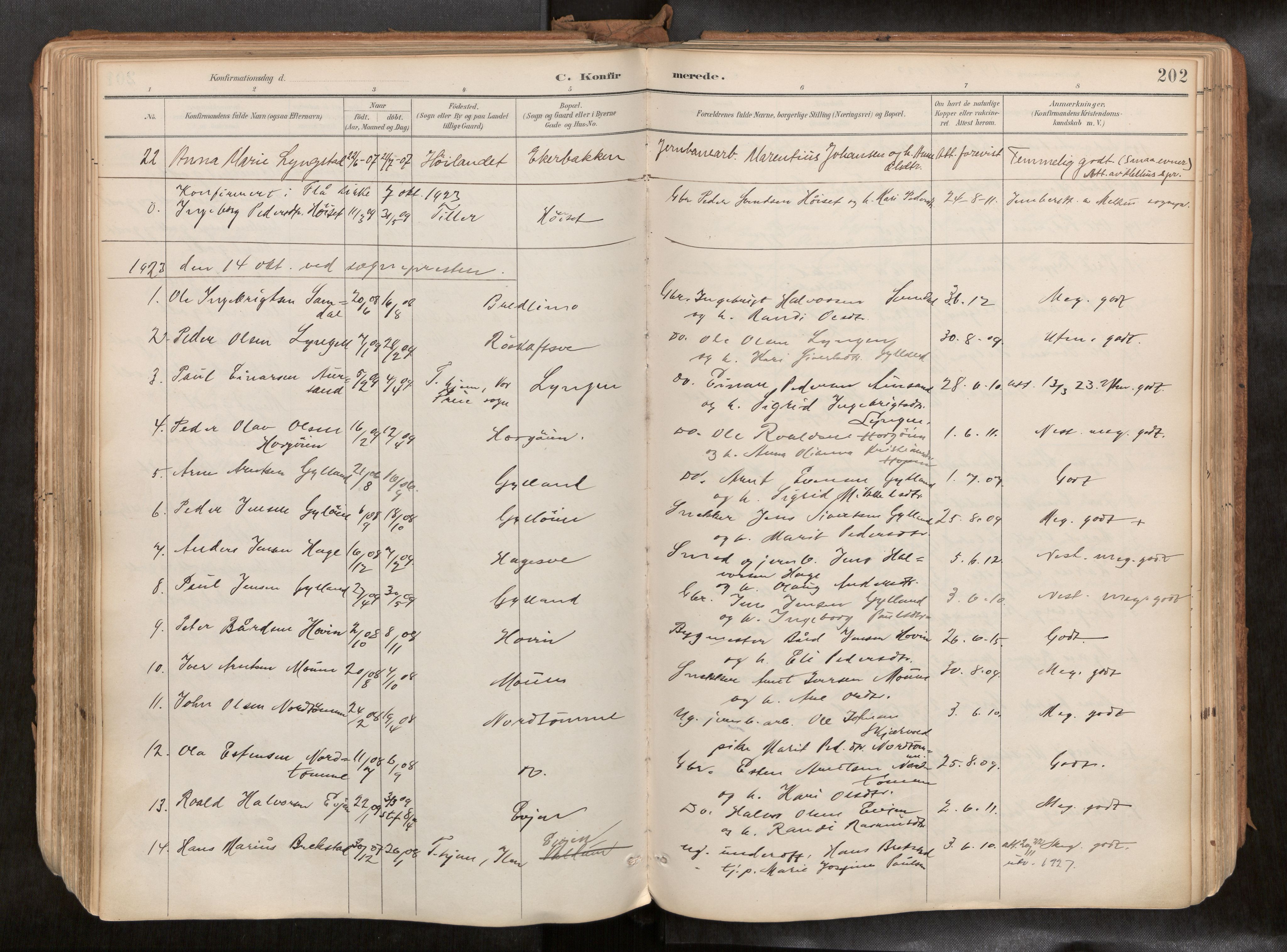 Ministerialprotokoller, klokkerbøker og fødselsregistre - Sør-Trøndelag, AV/SAT-A-1456/692/L1105b: Parish register (official) no. 692A06, 1891-1934, p. 202