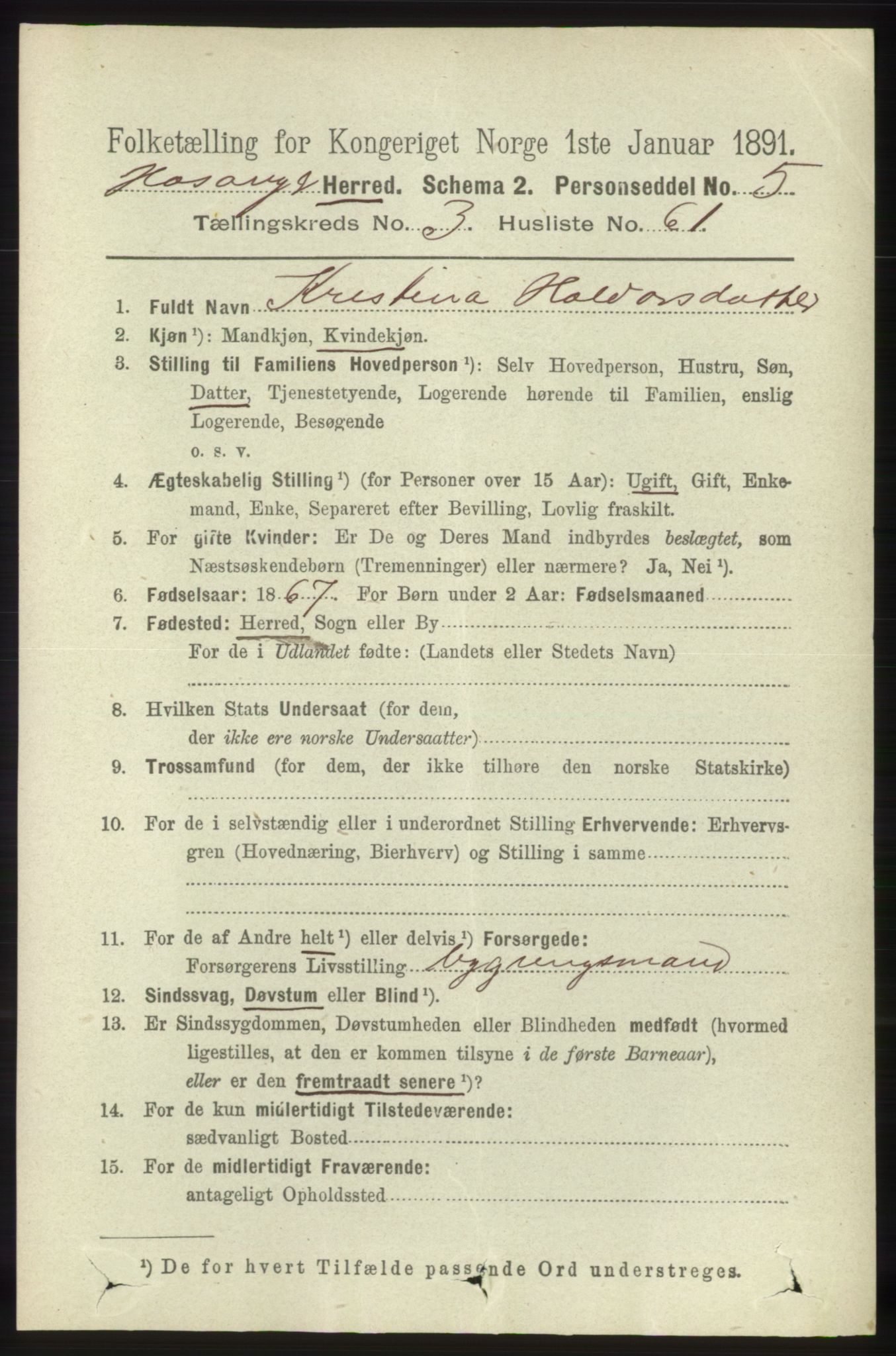 RA, 1891 census for 1253 Hosanger, 1891, p. 1385