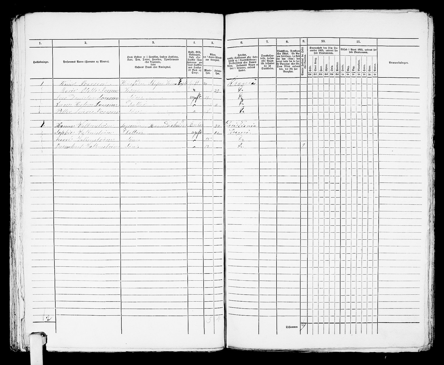 RA, 1865 census for Kragerø/Kragerø, 1865, p. 935