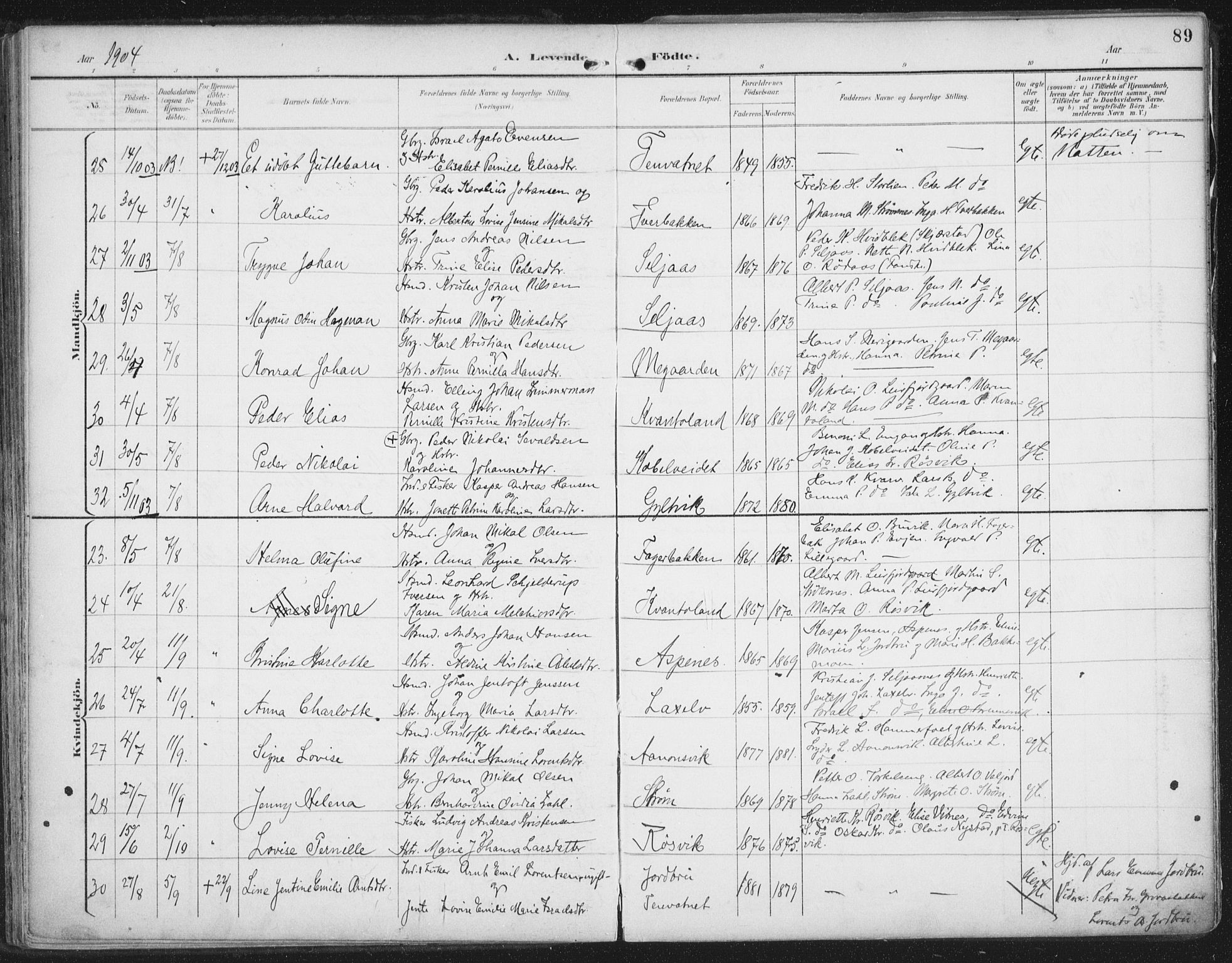 Ministerialprotokoller, klokkerbøker og fødselsregistre - Nordland, SAT/A-1459/854/L0779: Parish register (official) no. 854A02, 1892-1909, p. 89