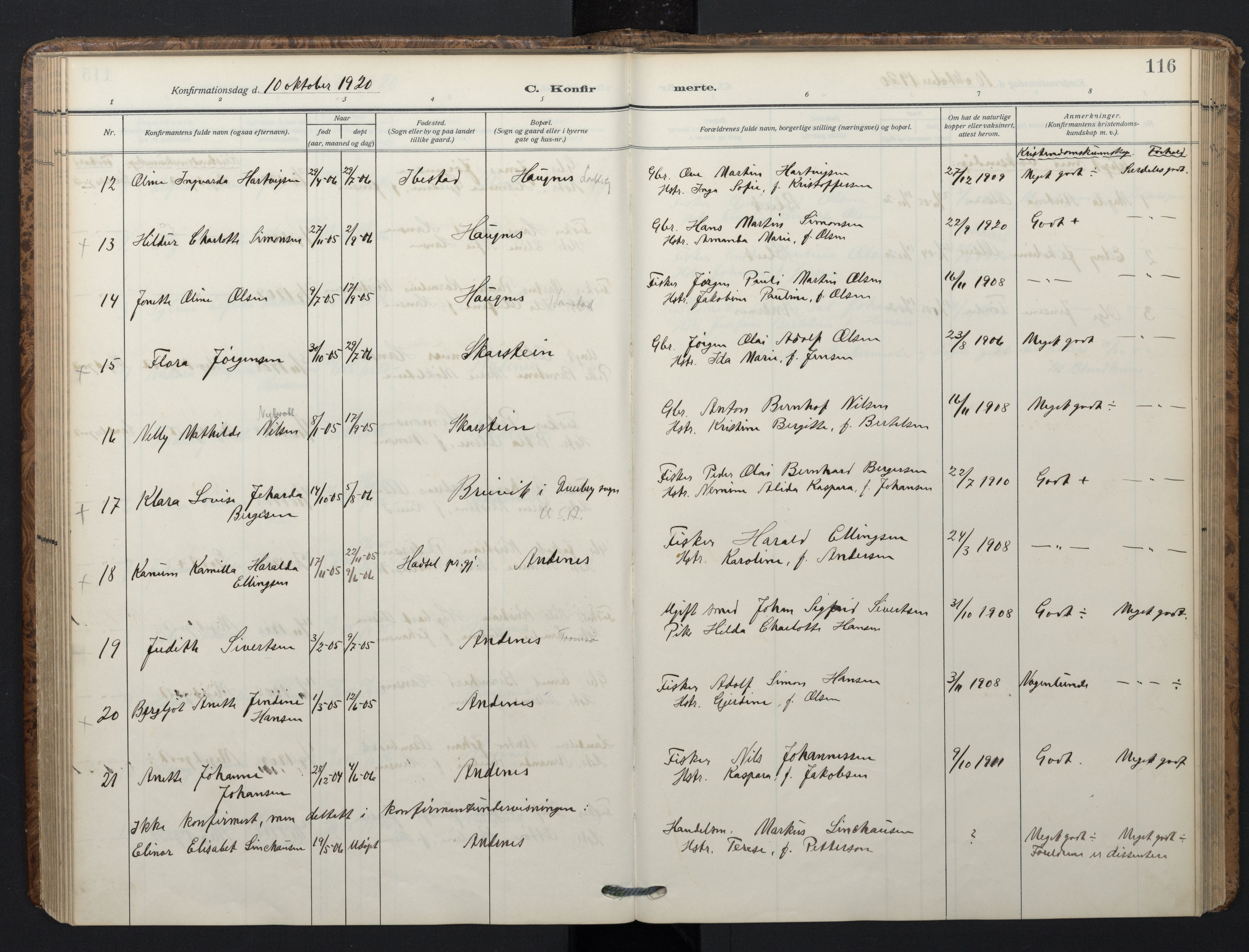 Ministerialprotokoller, klokkerbøker og fødselsregistre - Nordland, SAT/A-1459/899/L1438: Parish register (official) no. 899A06, 1909-1922, p. 116