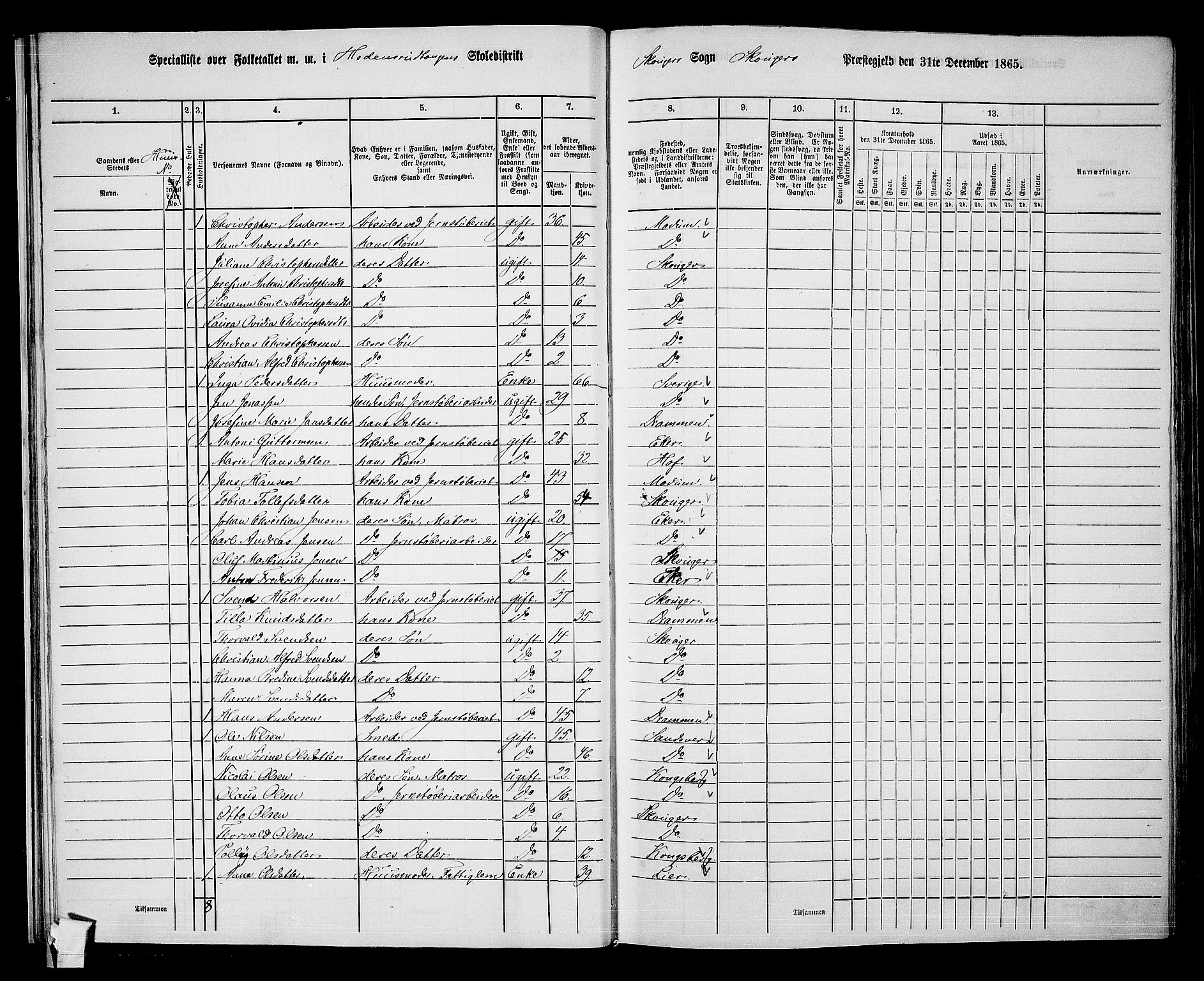 RA, 1865 census for Skoger, 1865, p. 29