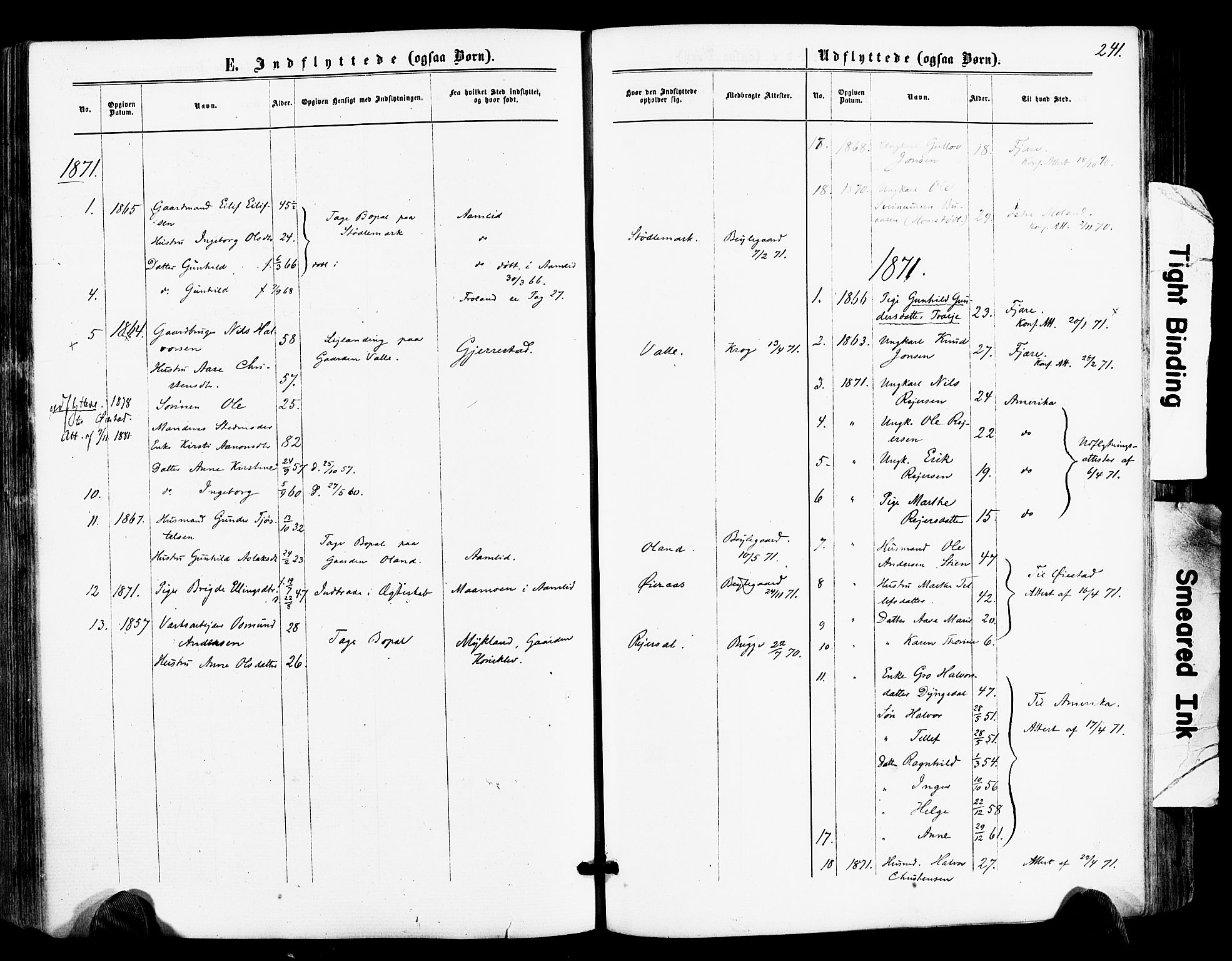 Froland sokneprestkontor, SAK/1111-0013/F/Fa/L0003: Parish register (official) no. A 3, 1864-1881, p. 241
