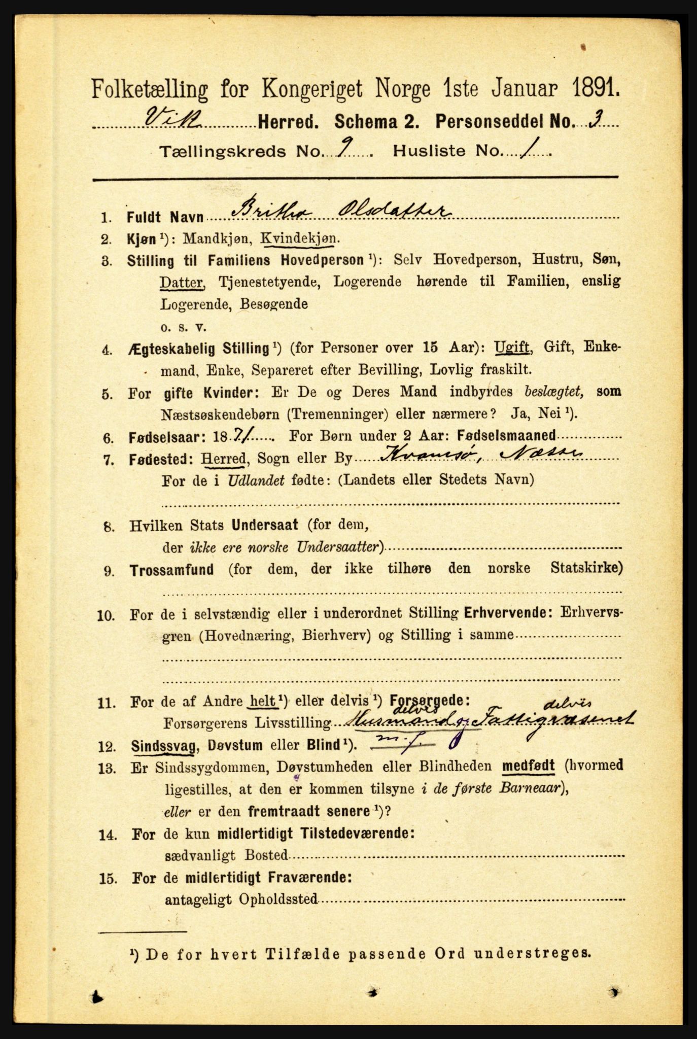 RA, 1891 census for 1417 Vik, 1891, p. 4002