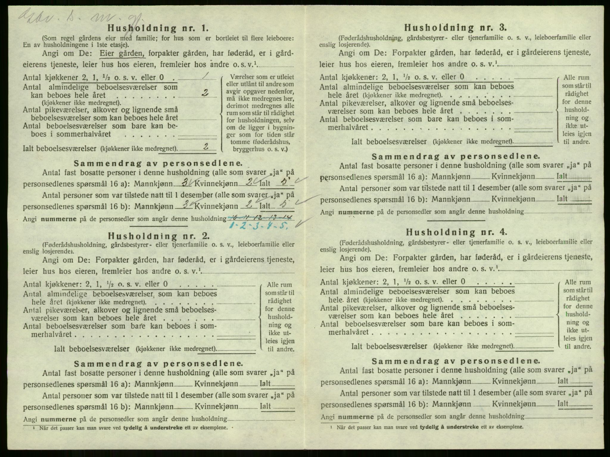 SAKO, 1920 census for Strømm, 1920, p. 235