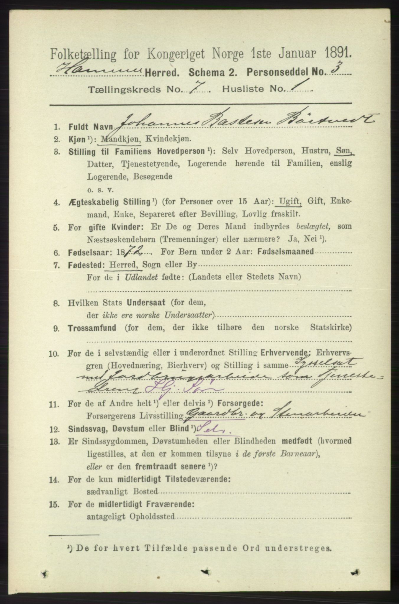 RA, 1891 census for 1254 Hamre, 1891, p. 1699