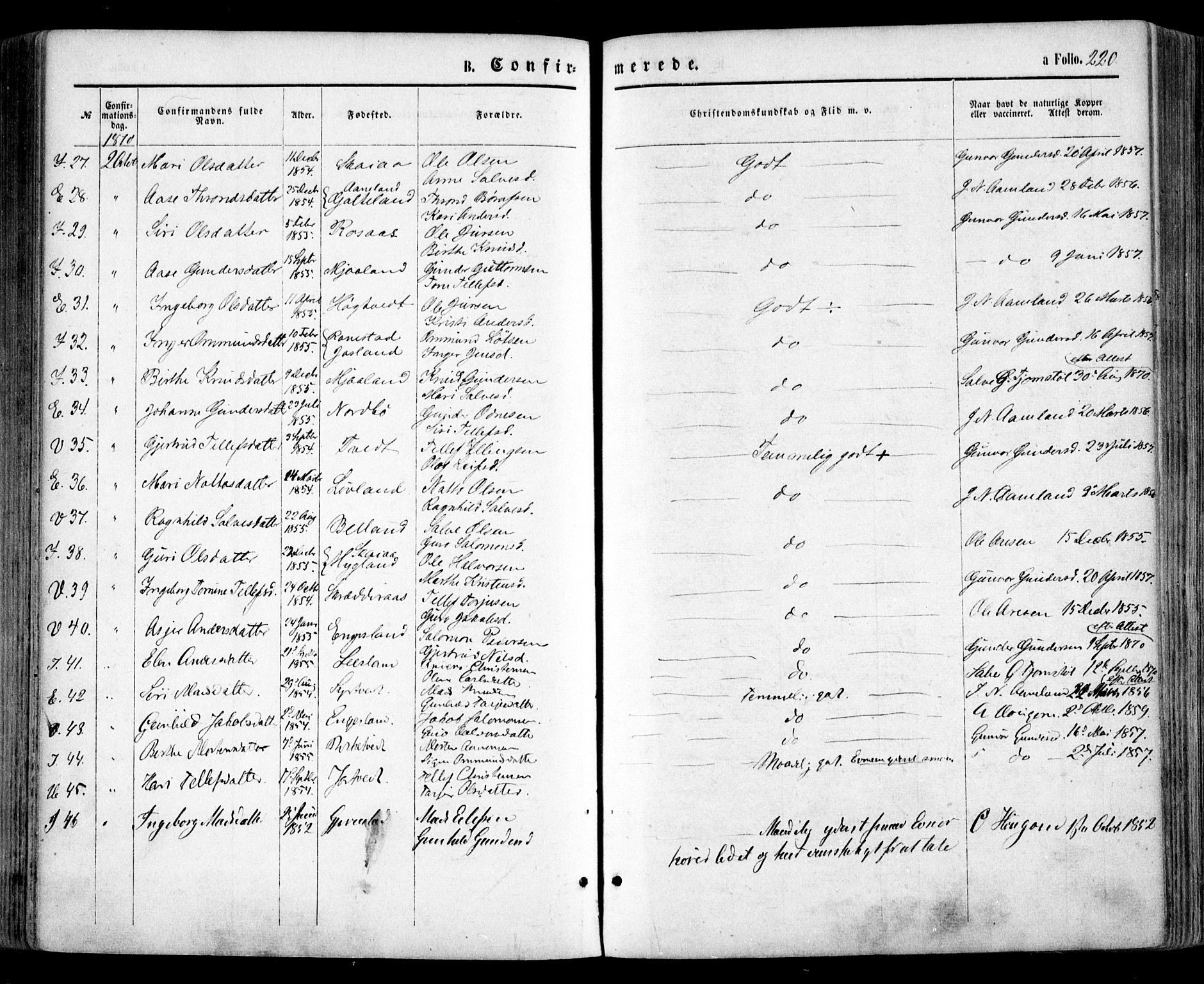 Evje sokneprestkontor, SAK/1111-0008/F/Fa/Faa/L0006: Parish register (official) no. A 6, 1866-1884, p. 220