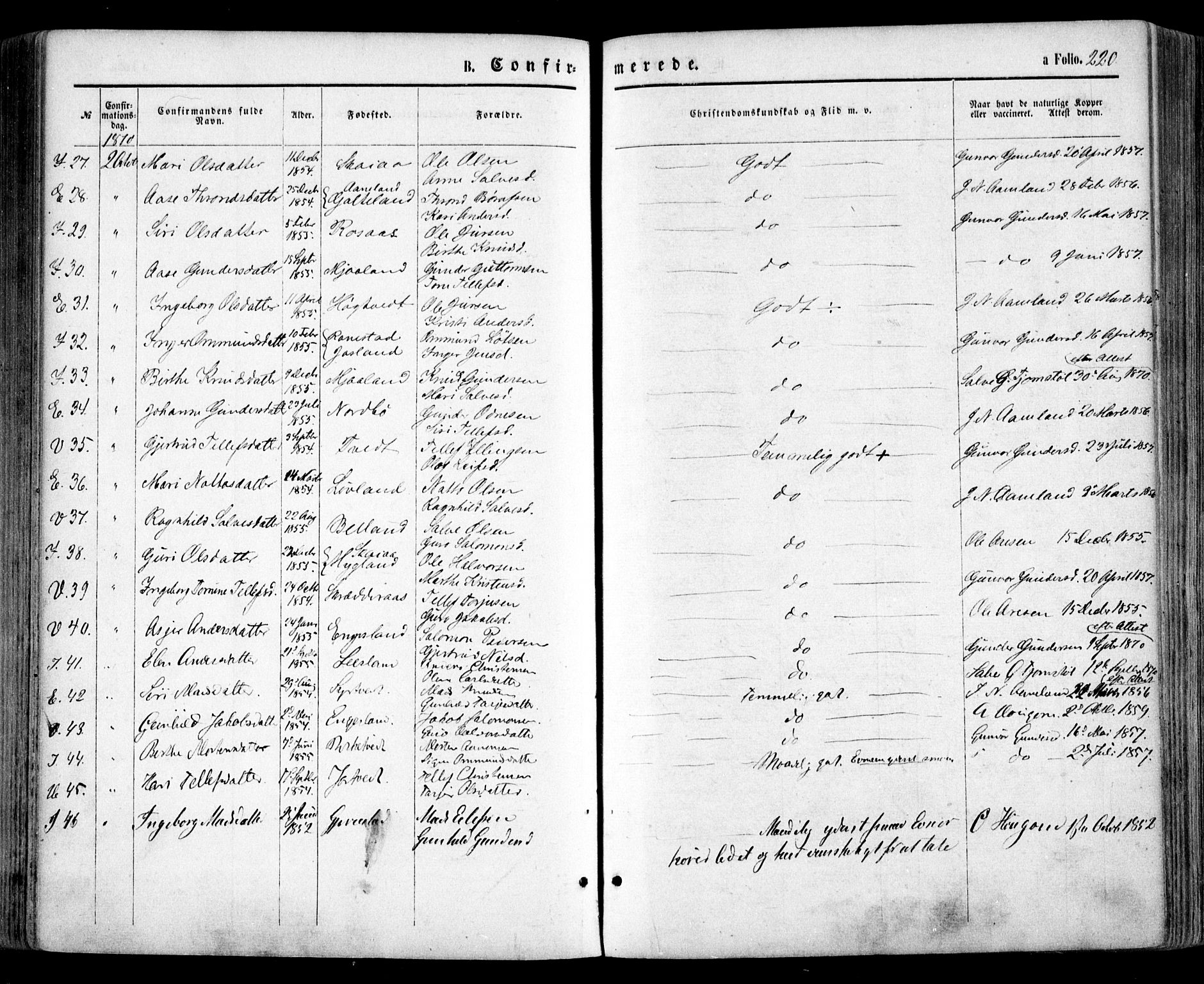 Evje sokneprestkontor, AV/SAK-1111-0008/F/Fa/Faa/L0006: Parish register (official) no. A 6, 1866-1884, p. 220