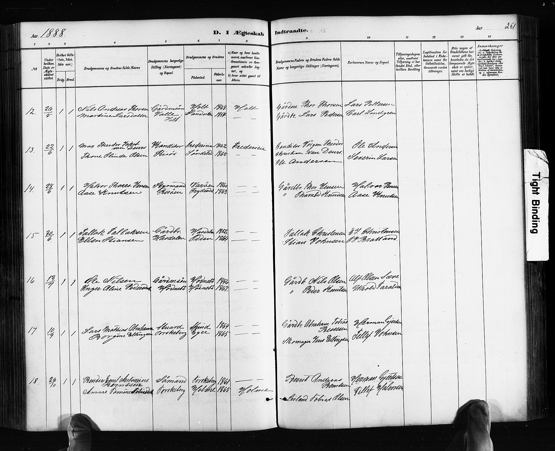 Søndeled sokneprestkontor, AV/SAK-1111-0038/F/Fa/L0004: Parish register (official) no. A 4, 1880-1889, p. 261