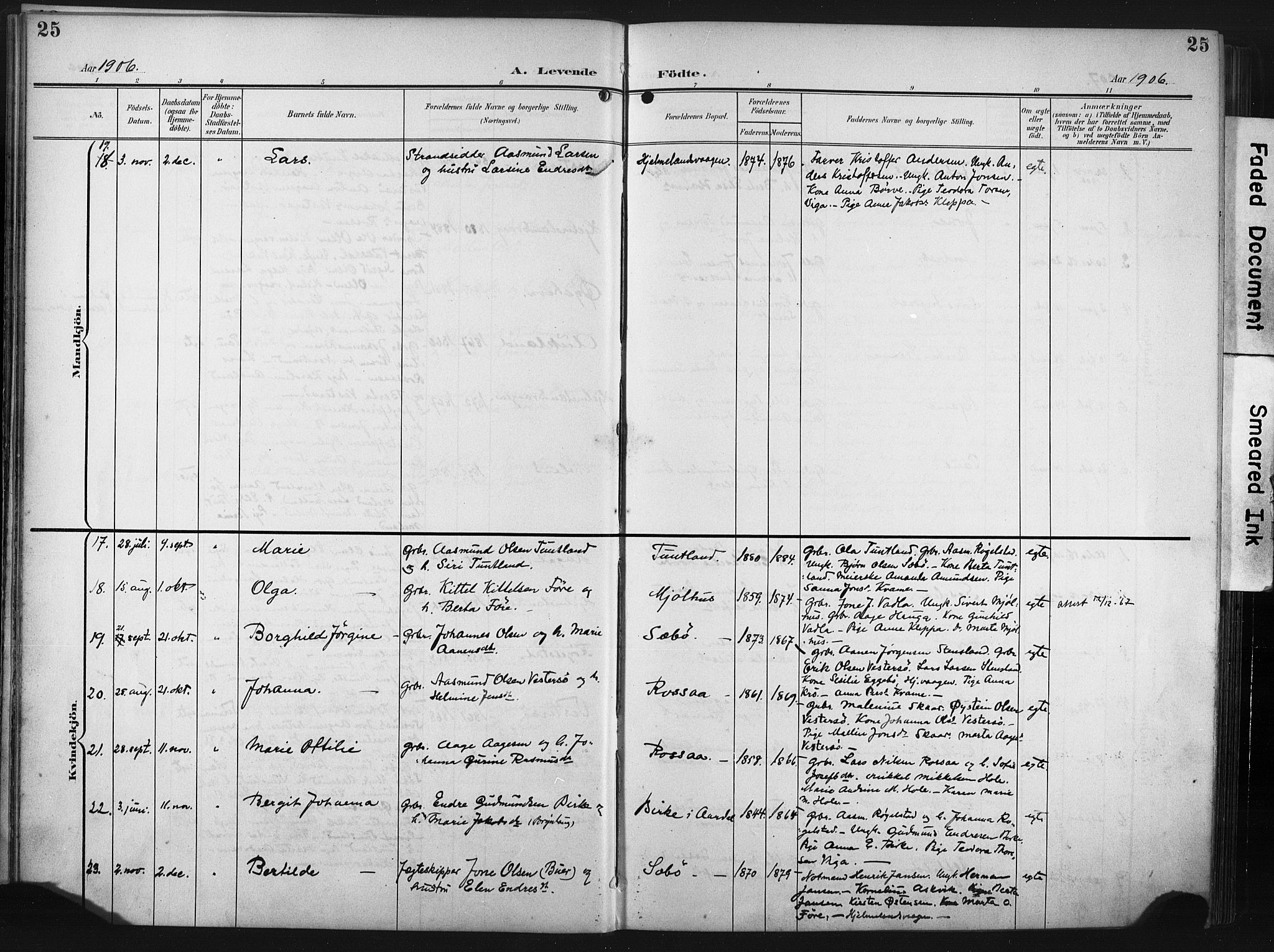 Hjelmeland sokneprestkontor, AV/SAST-A-101843/02/A/L0002: Parish register (official) no. A 17, 1901-1916, p. 25