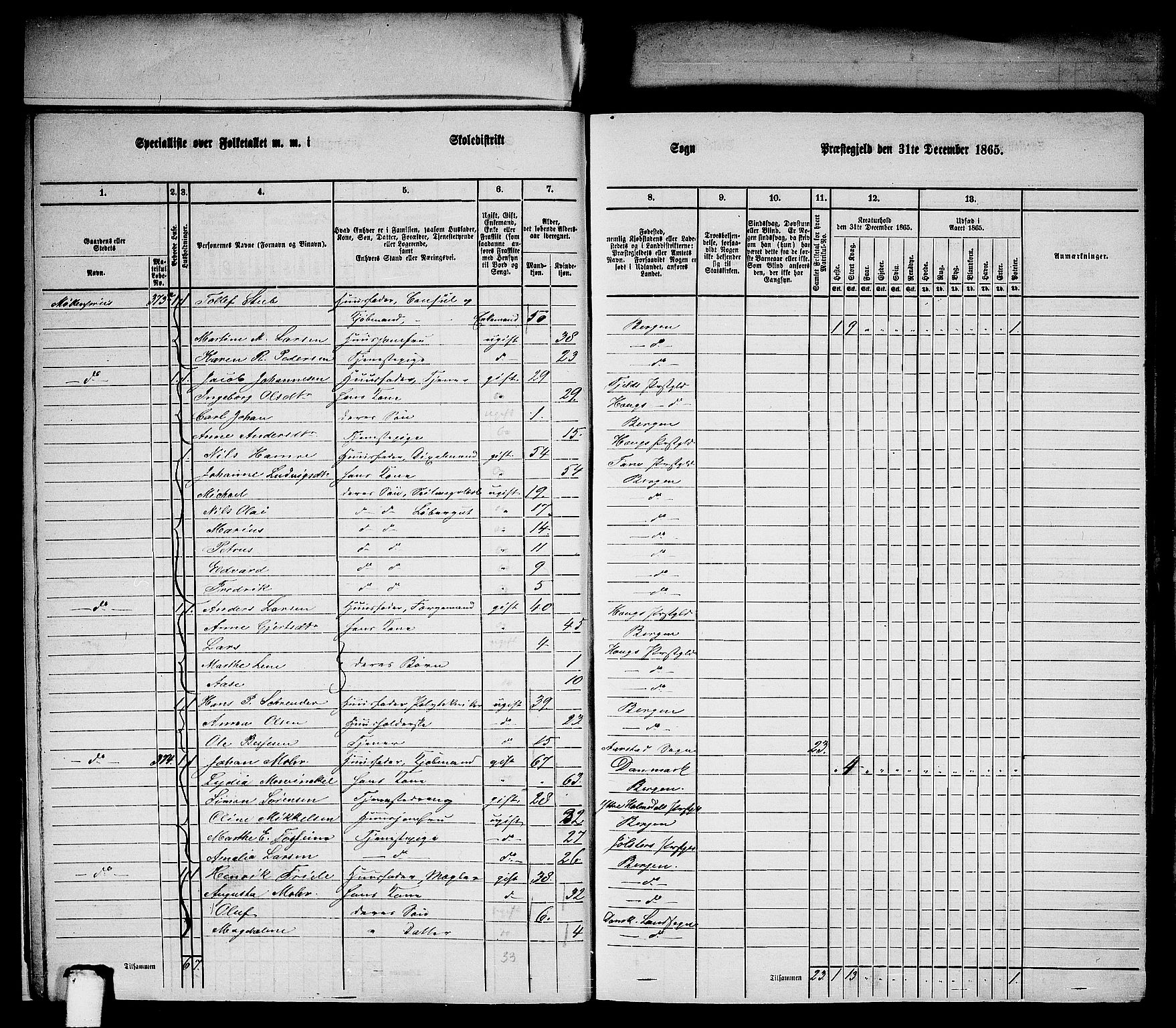 RA, 1865 census for Bergen Landdistrikt/Domkirken og Korskirken, 1865, p. 9