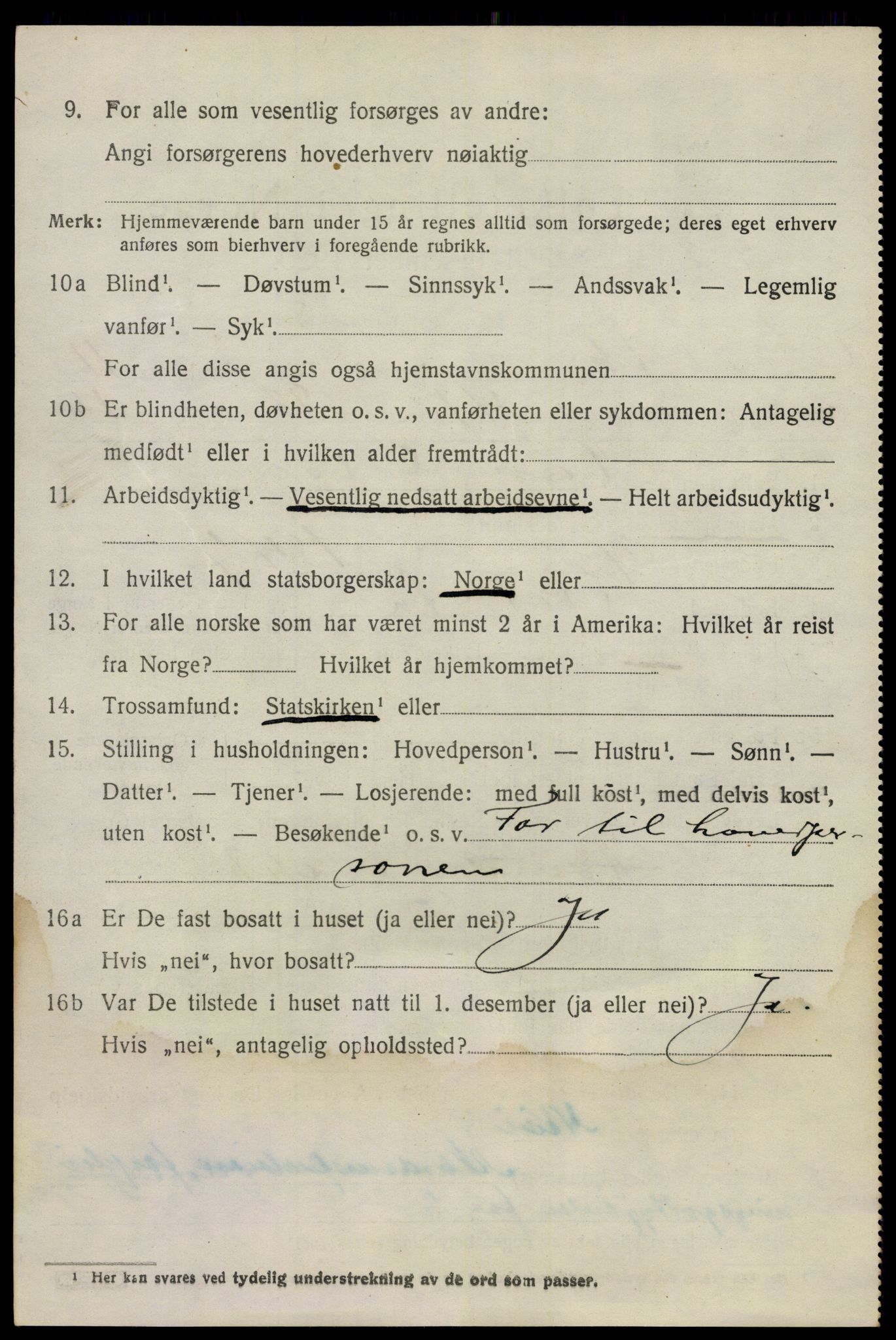 SAO, 1920 census for Nes, 1920, p. 11937