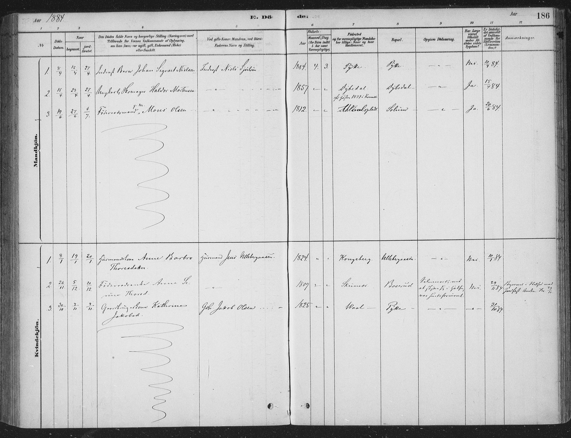 Sandsvær kirkebøker, AV/SAKO-A-244/F/Fe/L0001: Parish register (official) no. V 1, 1878-1936, p. 186