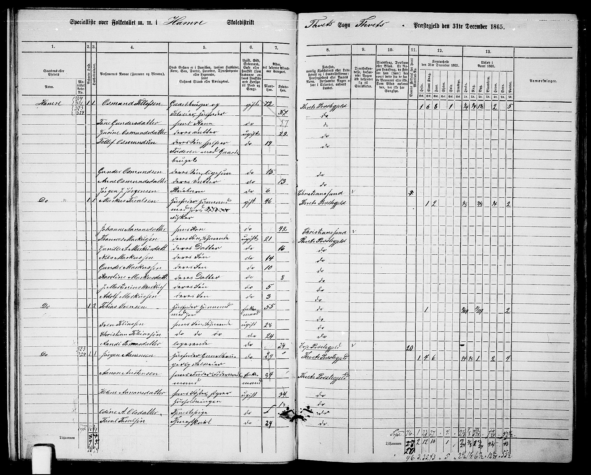 RA, 1865 census for Tveit, 1865, p. 20