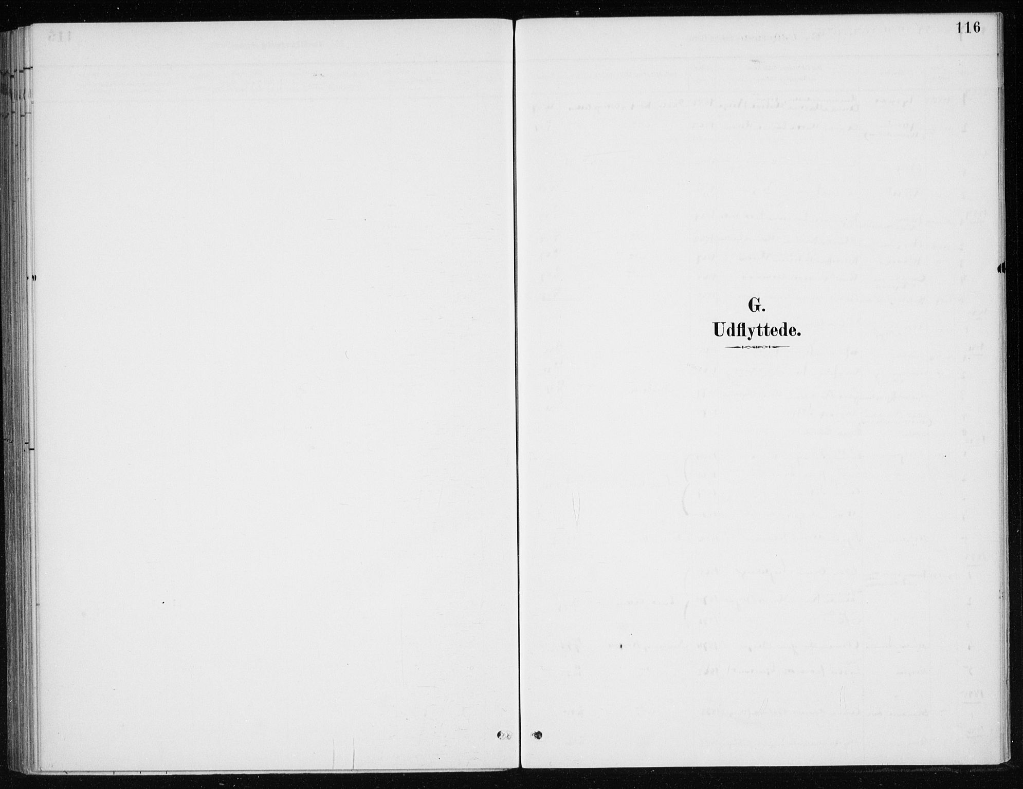 Kvinnherad sokneprestembete, SAB/A-76401/H/Haa: Parish register (official) no. E 1, 1887-1912, p. 116